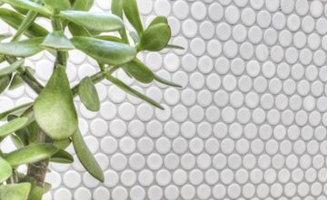 Mosani Keramik Bodenfliese Knopfmosaik LOOP Rundmosaik weiß matt Wand Küche Dusche, 32x30.5, Weiß, Frostbeständig Bodengeeignet