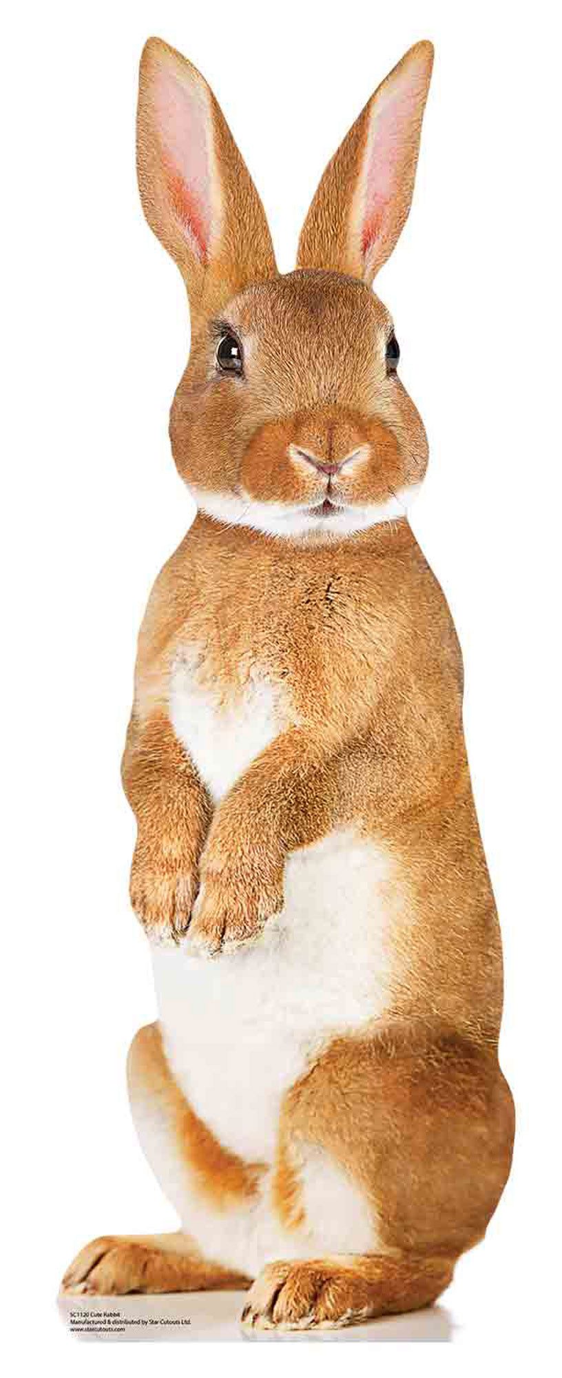 Dekofigur Tiere Pappaufsteller Cute Rabbit