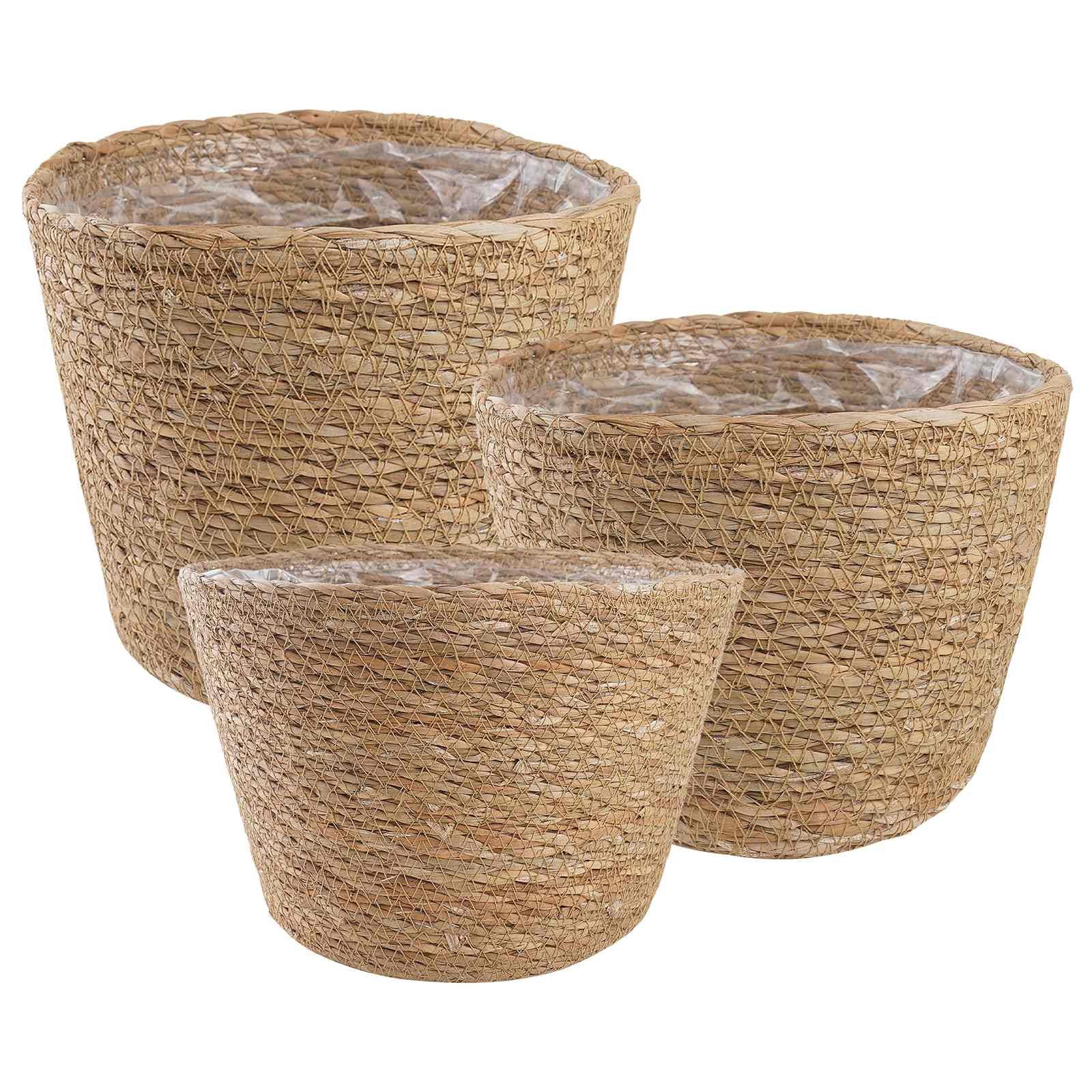 vidaXL Blumentopf 3 stk. Natur Ø26 x 19 cm 100% Seegras (3 St)