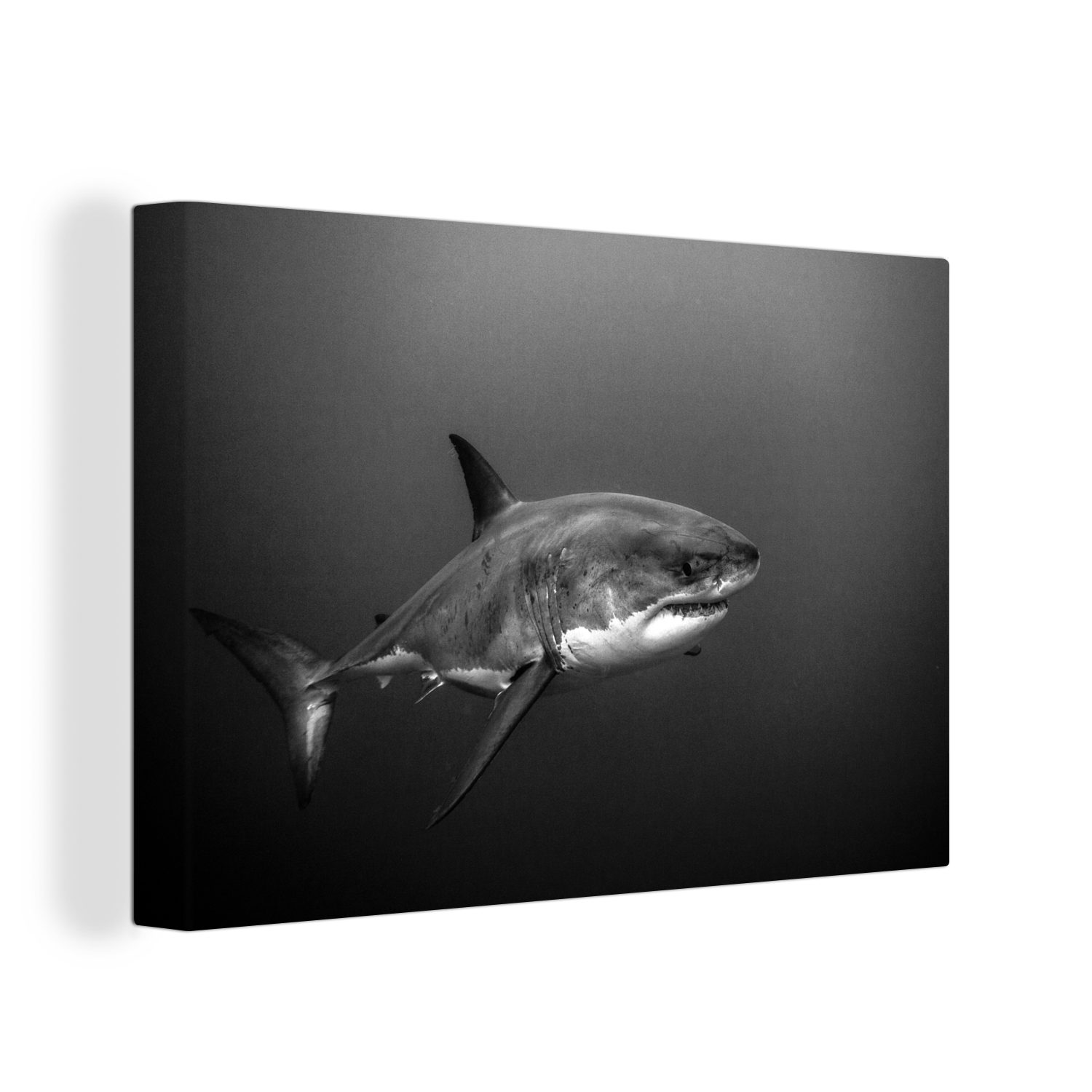 OneMillionCanvasses® Leinwandbild Ein großer weißer Hai in dunklem Wasser - schwarz und weiß, (1 St), Wandbild Leinwandbilder, Aufhängefertig, Wanddeko, 30x20 cm