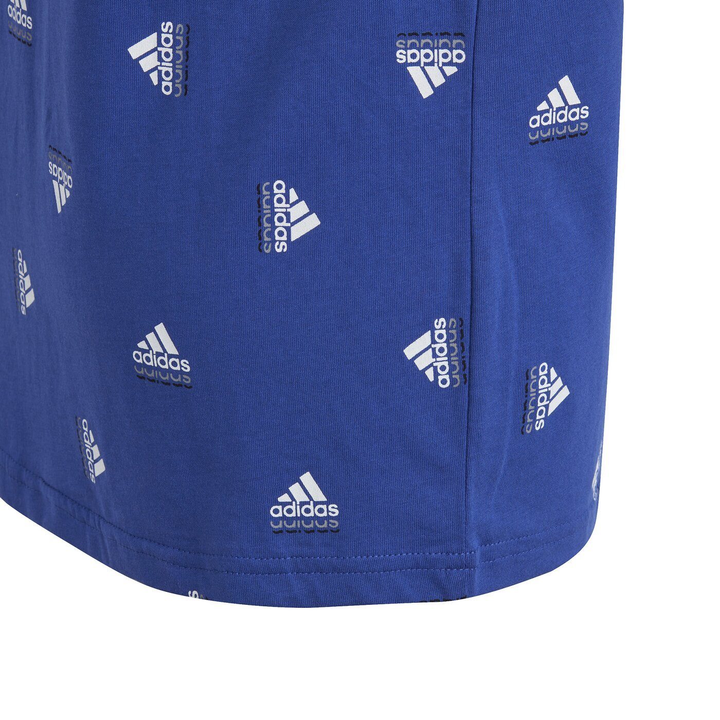 Kurzarmshirt adidas BLUV Sportswear TEE Q1 U SELUBL/WHITE