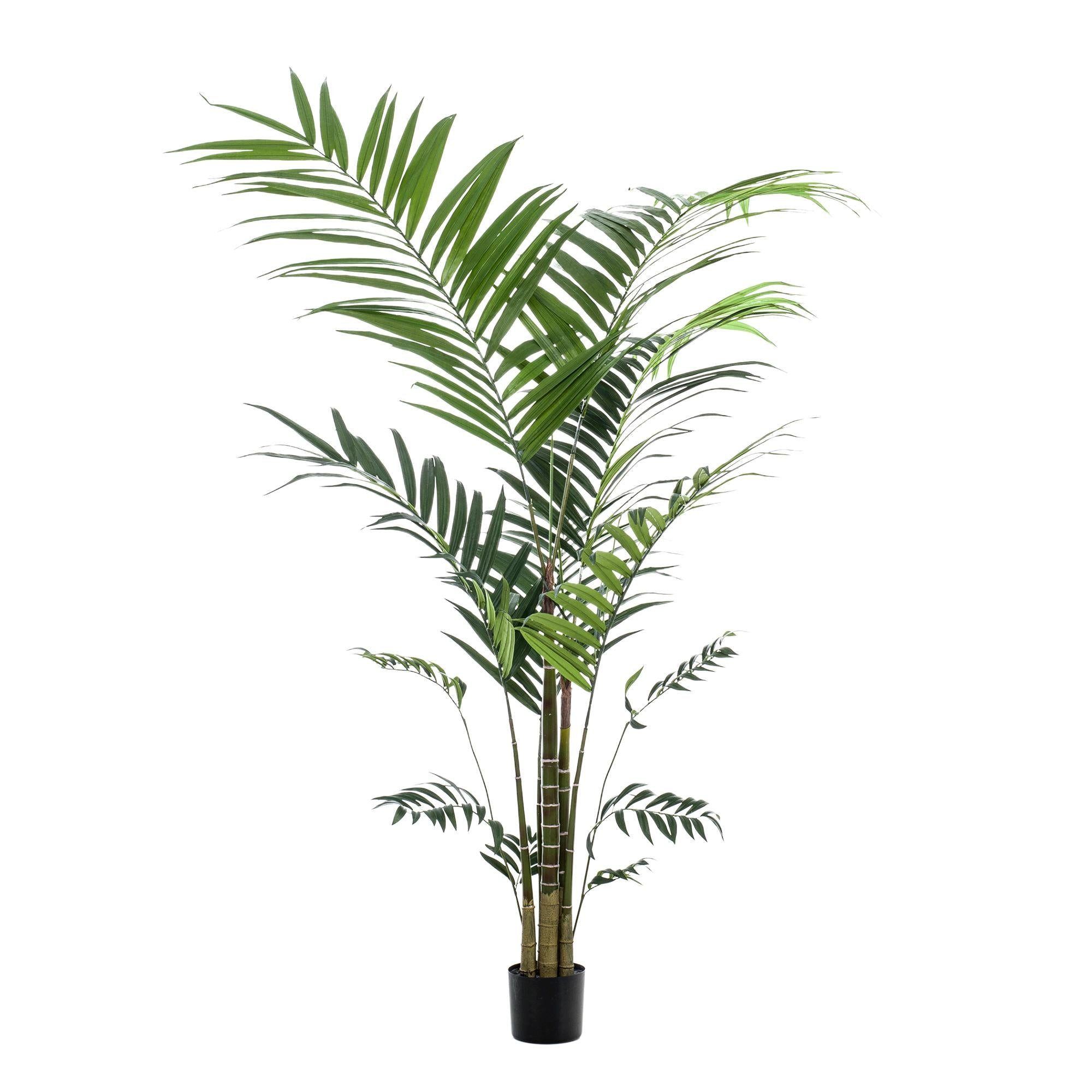 Kunstpflanze Kunstpflanze – Kentia – Kentiapalme – 210 cm – Topf 45 cm Kunstpflanze, Florora, Höhe 210 cm, Täuschend echt, Mit Einsatztopf