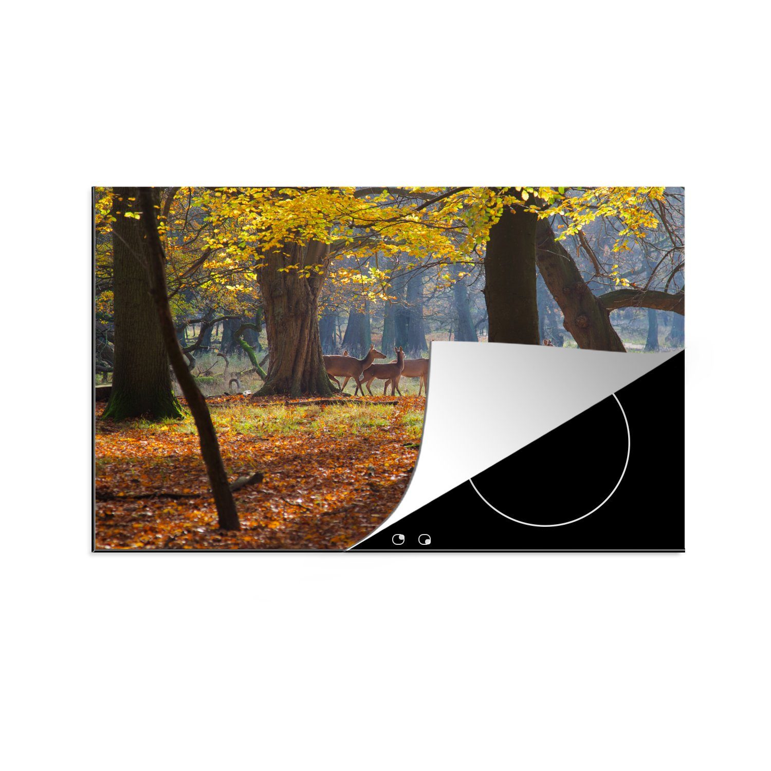 MuchoWow Herdblende-/Abdeckplatte Hirsche in einem Wald in Dänemark, Vinyl, (1 tlg), 81x52 cm, Induktionskochfeld Schutz für die küche, Ceranfeldabdeckung