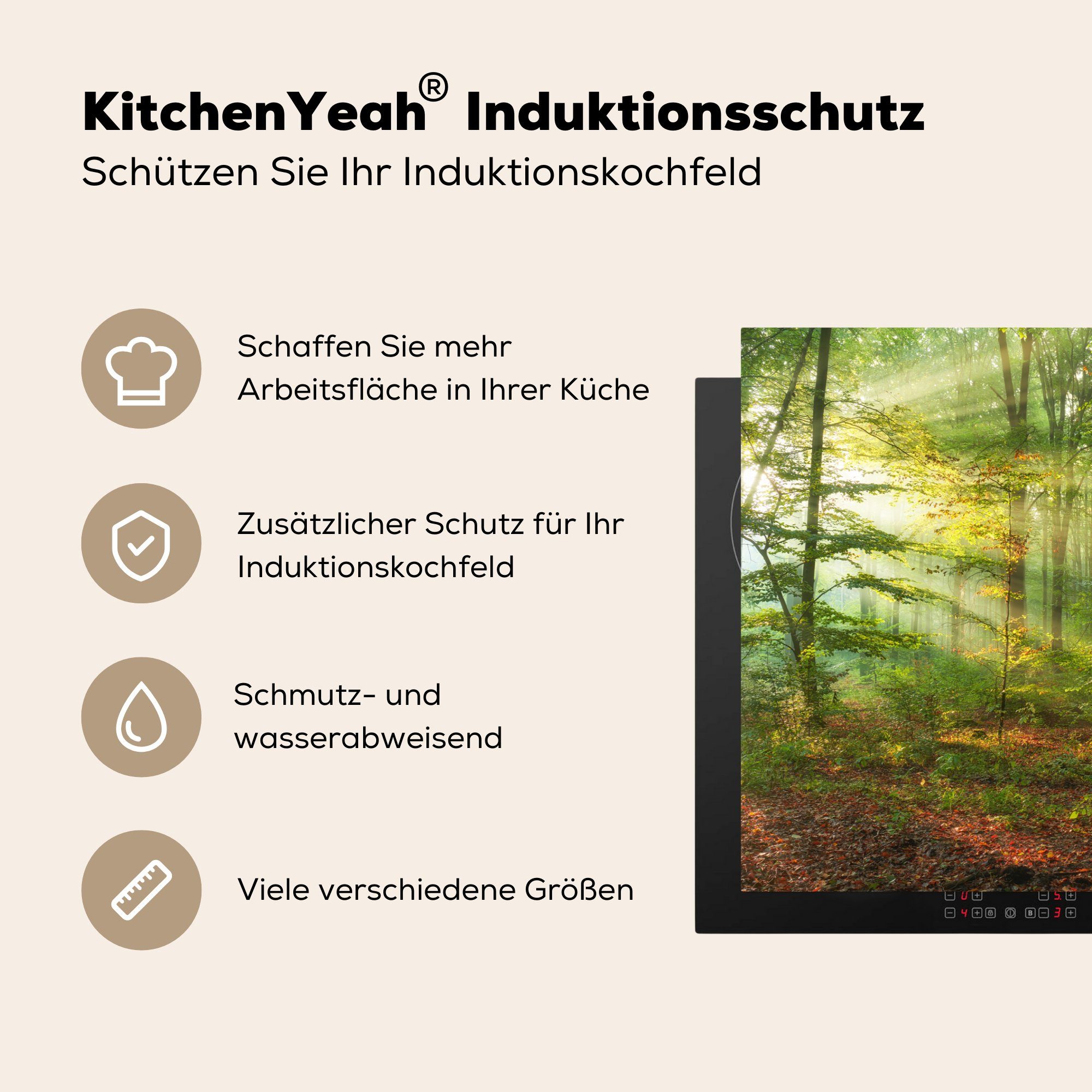 (1 - Bäume küche Vinyl, Herbst, Arbeitsplatte MuchoWow - Wald tlg), Herdblende-/Abdeckplatte - Sonne Ceranfeldabdeckung, für 81x52 - Natur cm,