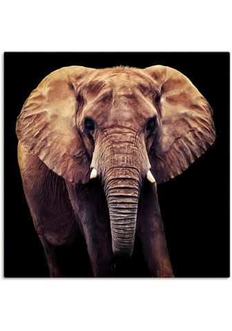 Artland Paveikslas »Elefant« Wildtiere (1 vien...