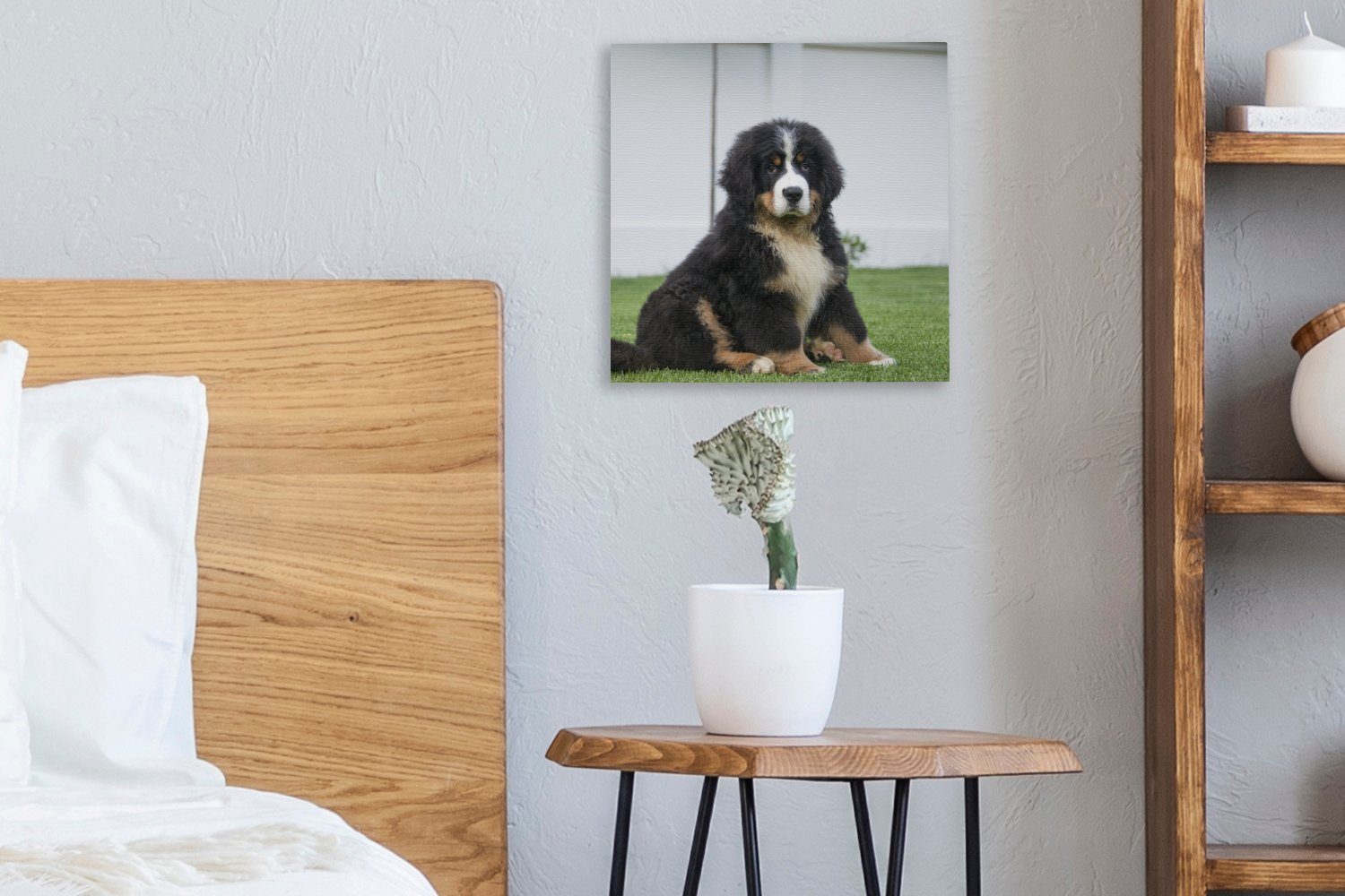 Bilder Super Sennenhund Welpe, OneMillionCanvasses® Wohnzimmer (1 Berner Schlafzimmer süßer St), Leinwand Leinwandbild für