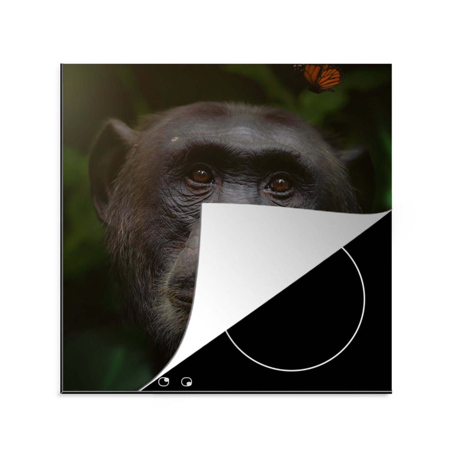 MuchoWow Herdblende-/Abdeckplatte Tiere - Affe - Dschungel, Vinyl, (1 tlg), 78x78 cm, Ceranfeldabdeckung, Arbeitsplatte für küche