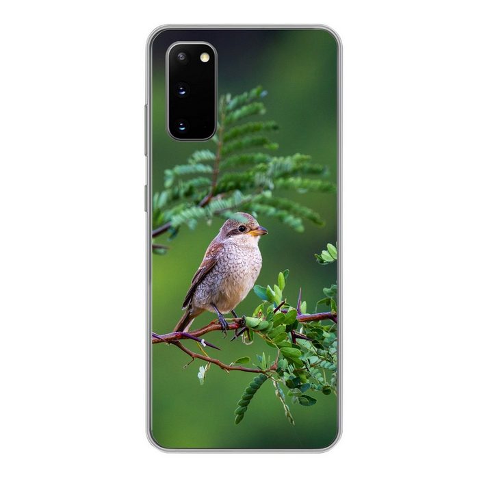 MuchoWow Handyhülle Vogel - Baum - Wald Phone Case Handyhülle Samsung Galaxy S20 Silikon Schutzhülle