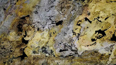 Slate Lite Dekorpaneele »EcoStone Translucent Falling Leaves«, BxL: 61x122 cm, 0,74 qm, (1-tlg) aus Echtstein