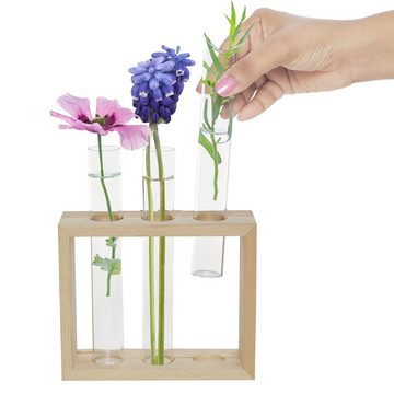 Belle Vous Blumentopf Hängende Glasvasen für Blumen - Set mit 4 Reagenzgläsern, Hängende Glas Reagenzgläser für Blumen - 4 Vasen Set