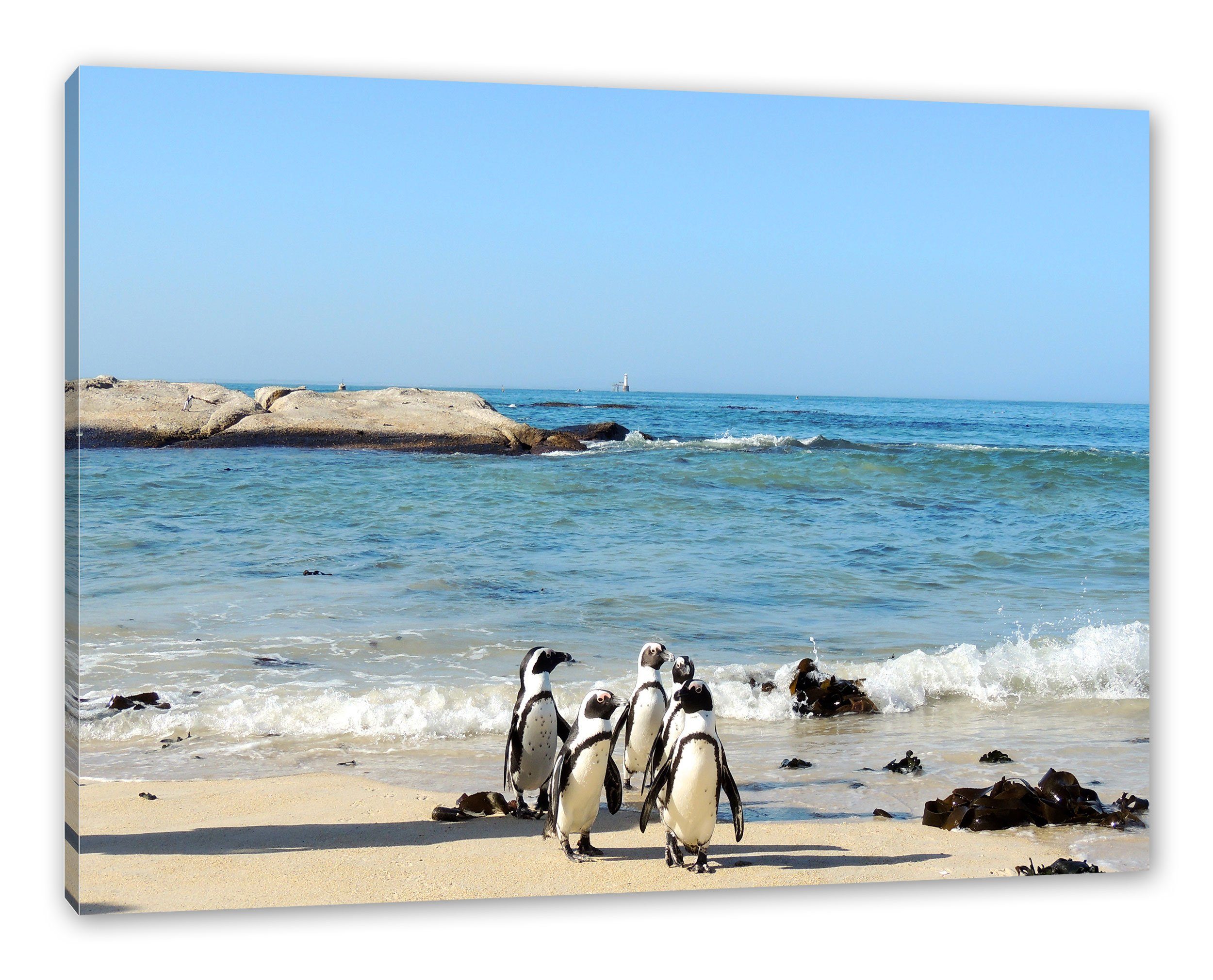 Pixxprint Leinwandbild Pinguine am Strand, Pinguine am Strand (1 St), Leinwandbild fertig bespannt, inkl. Zackenaufhänger
