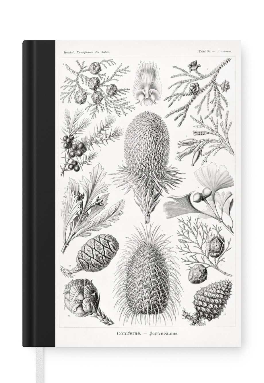 MuchoWow Notizbuch Koniferen - Ernst Haeckel - Kunst - Retro - Illustration - Natur, Journal, Merkzettel, Tagebuch, Notizheft, A5, 98 Seiten, Haushaltsbuch