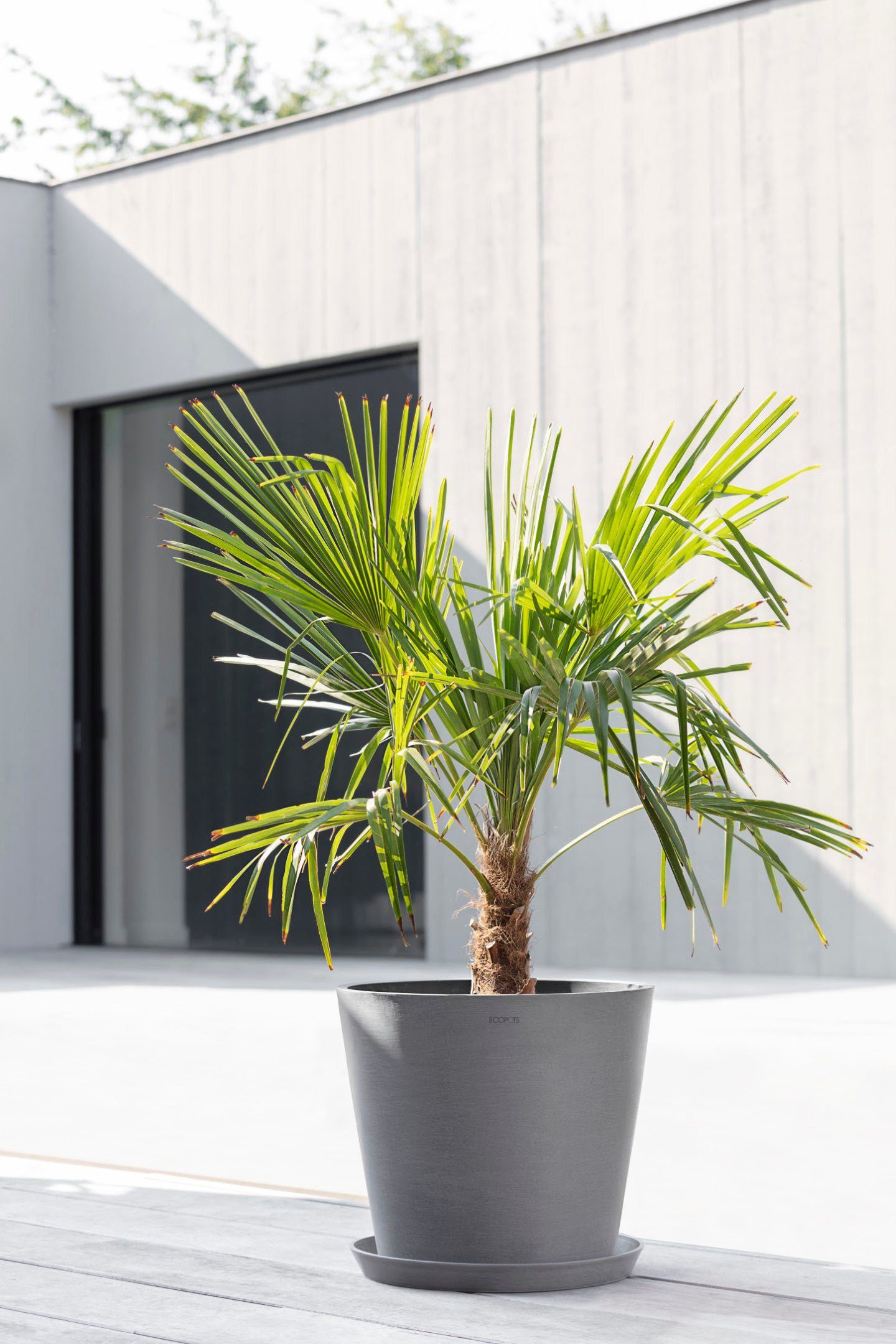 ECOPOTS Blumentopf Amsterdam, ØxH: 40x35 cm günstig online kaufen