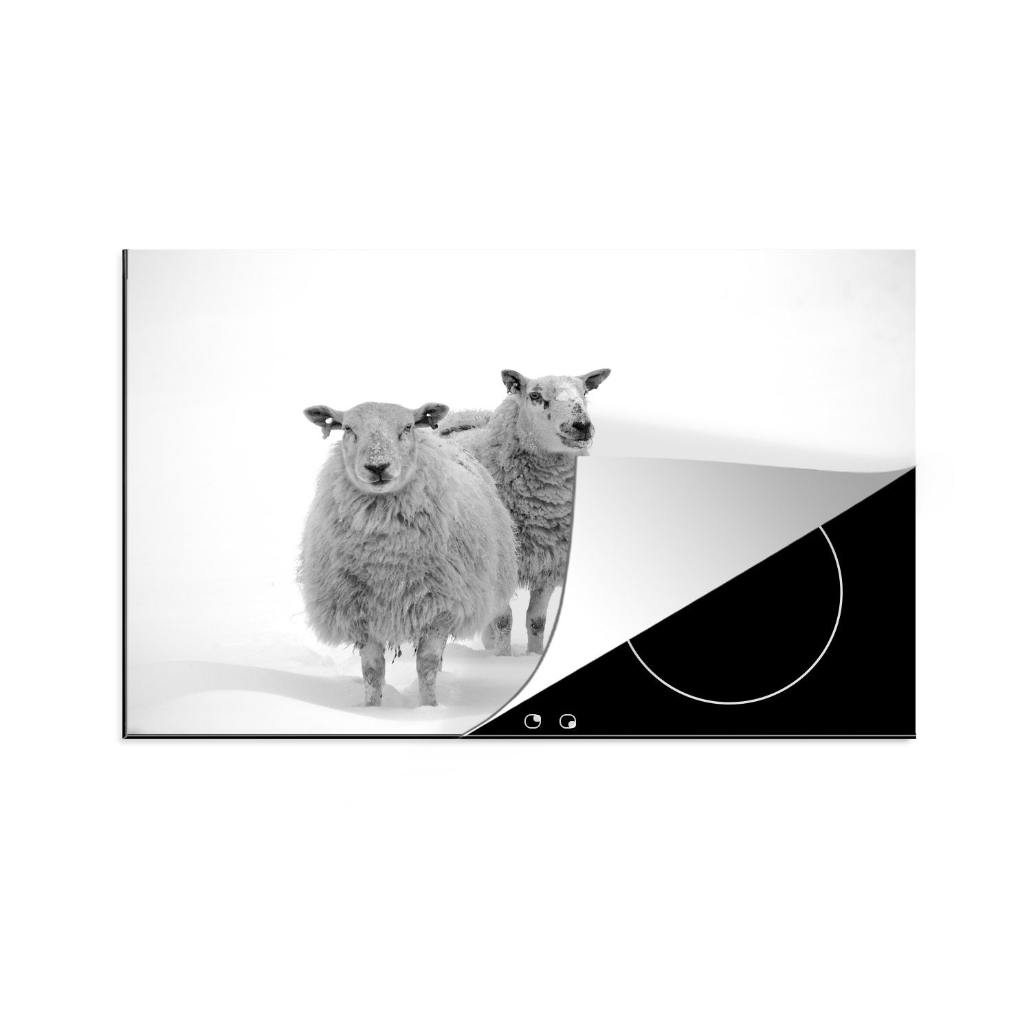 MuchoWow Herdblende-/Abdeckplatte Schafe - Schnee - Weiß, Vinyl, (1 tlg), 81x52 cm, Induktionskochfeld Schutz für die küche, Ceranfeldabdeckung