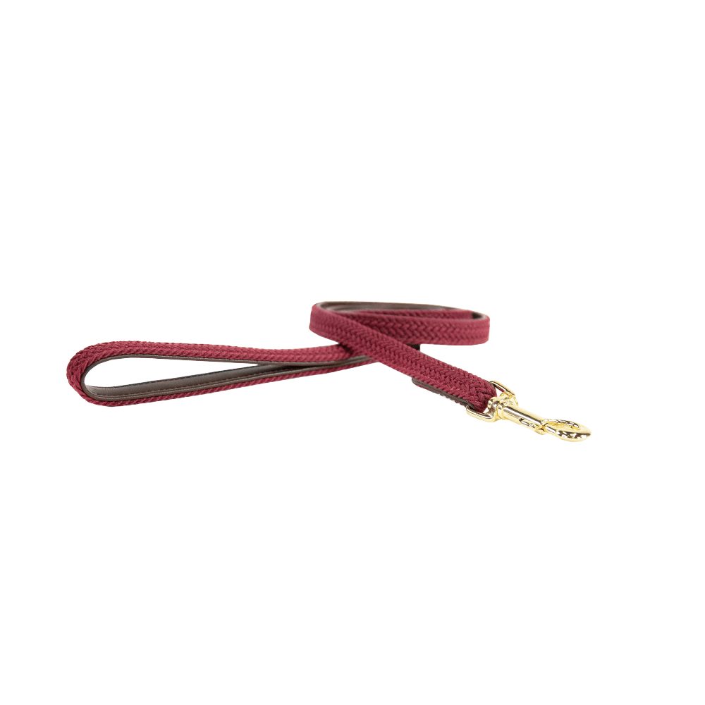 Kentucky Horsewear Hundeleine Hunde Leine Plaited Nylon 120 cm