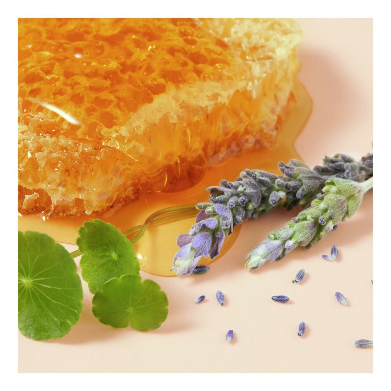 Nuxe Handcreme Rêve de Miel CICA Hand- und Nagelcreme