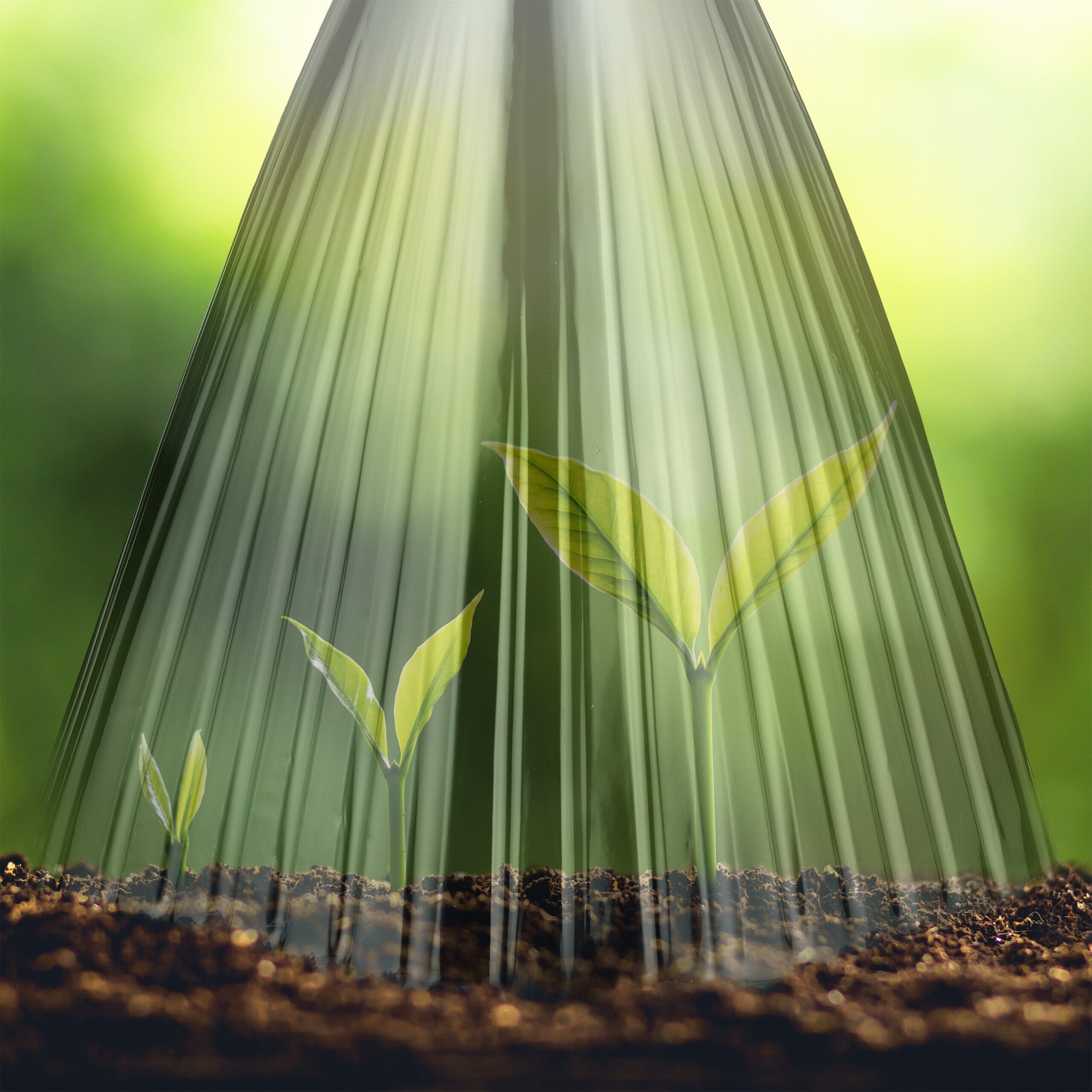 relaxdays Pflanzenschutzdach Pflanzenhut im 32er Set