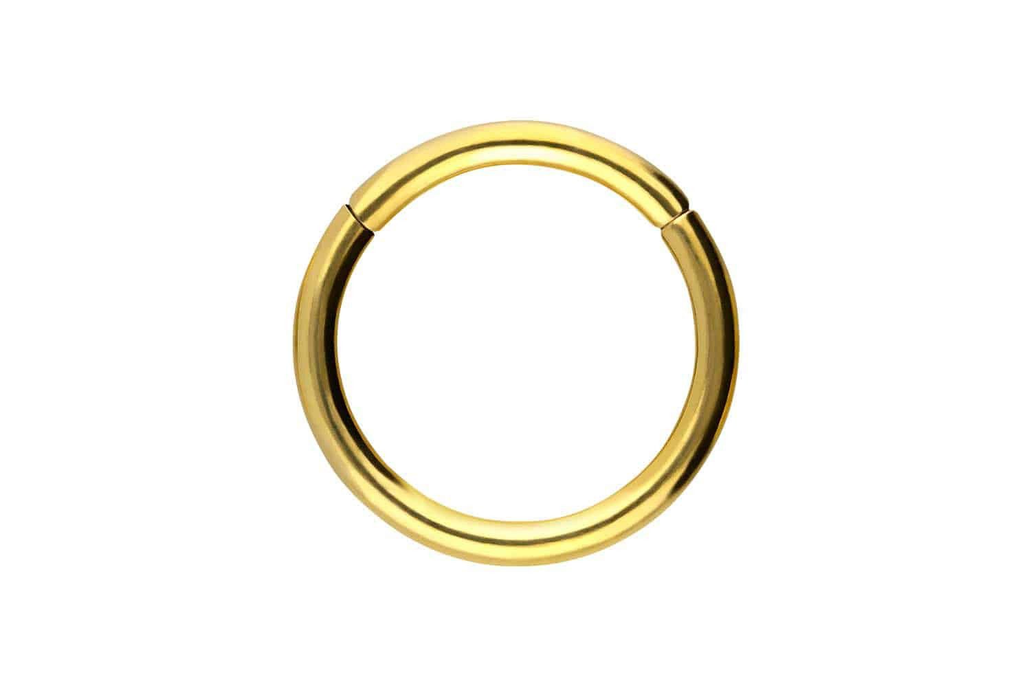 PIERCINGLINE Nasenpiercing Titan Segmentring Clicker Ohrpiercing Septum Nas günstig online kaufen