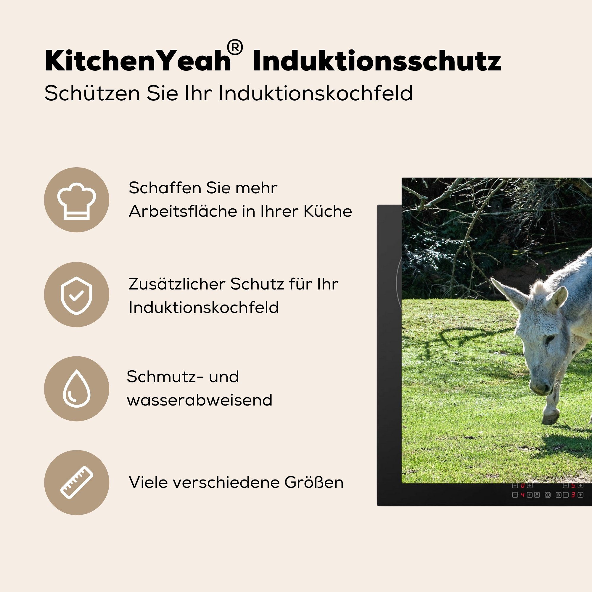 Schutz tlg), Gans Vinyl, - MuchoWow 81x52 Induktionskochfeld Esel für die Gras, Ceranfeldabdeckung Herdblende-/Abdeckplatte - (1 küche, cm,