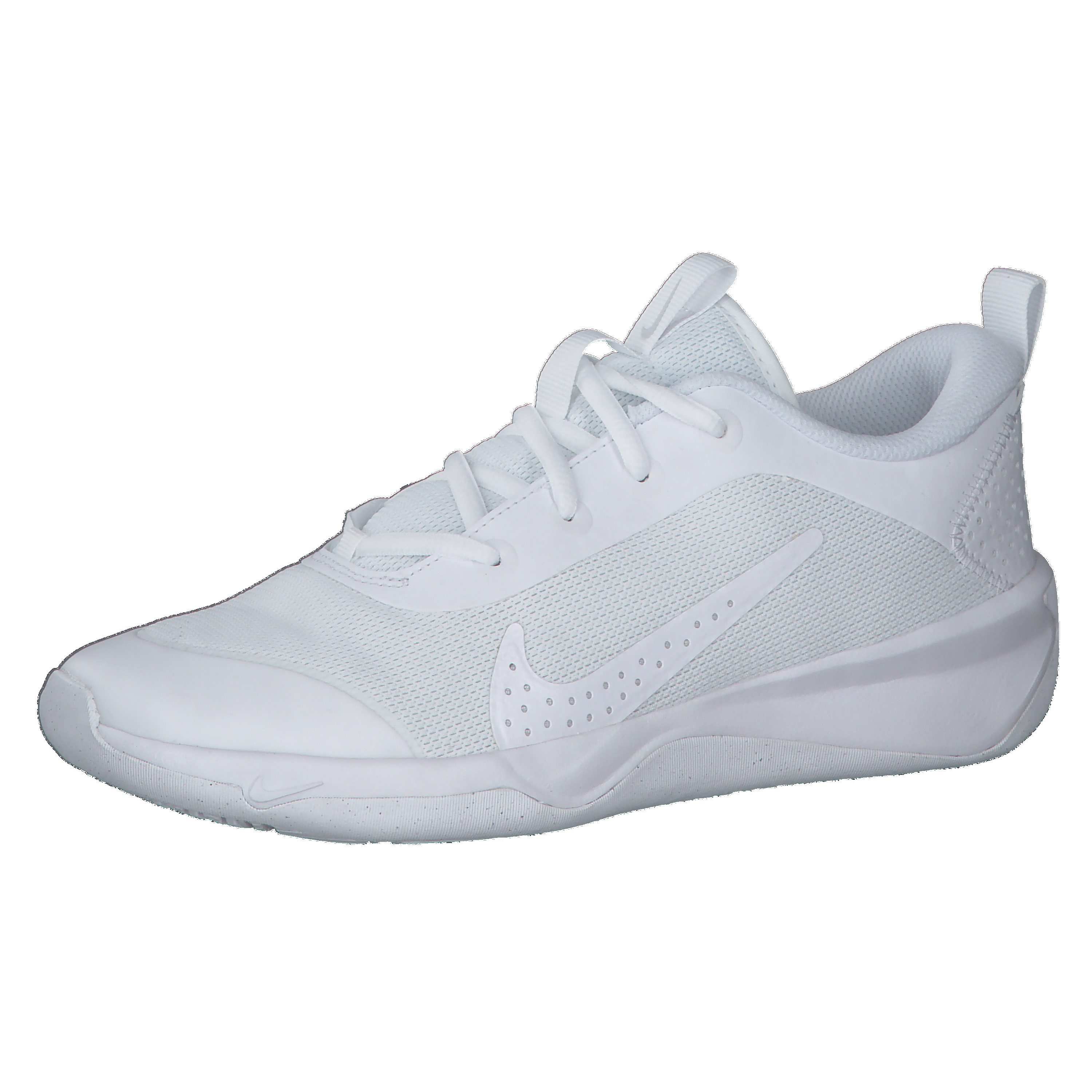 Nike Nike Kinder Hallenschuhe Omni Multi-Court DM9027 Hallenschuh