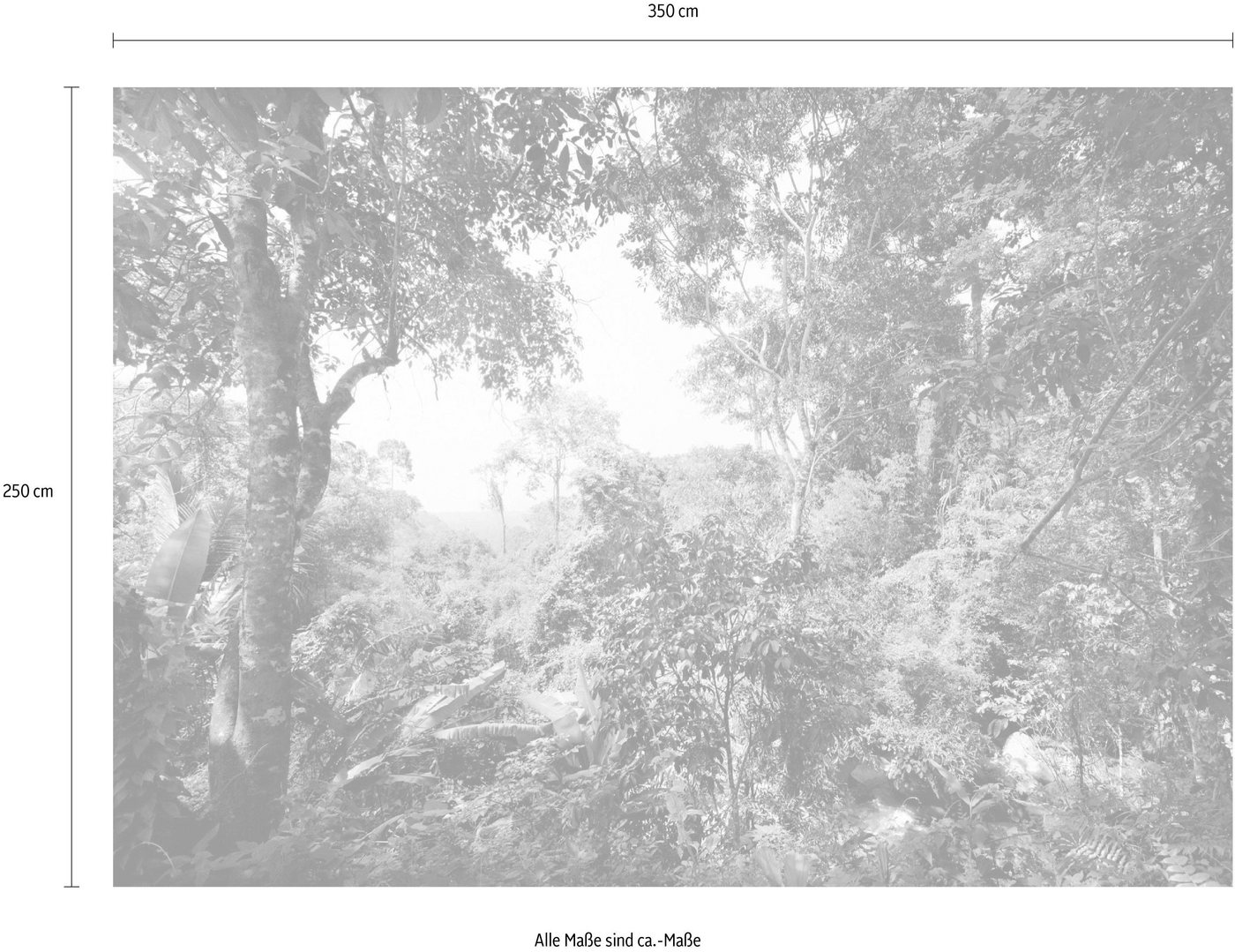 Komar Vliestapete »Dschungel«, glatt, naturalistisch-HomeTrends