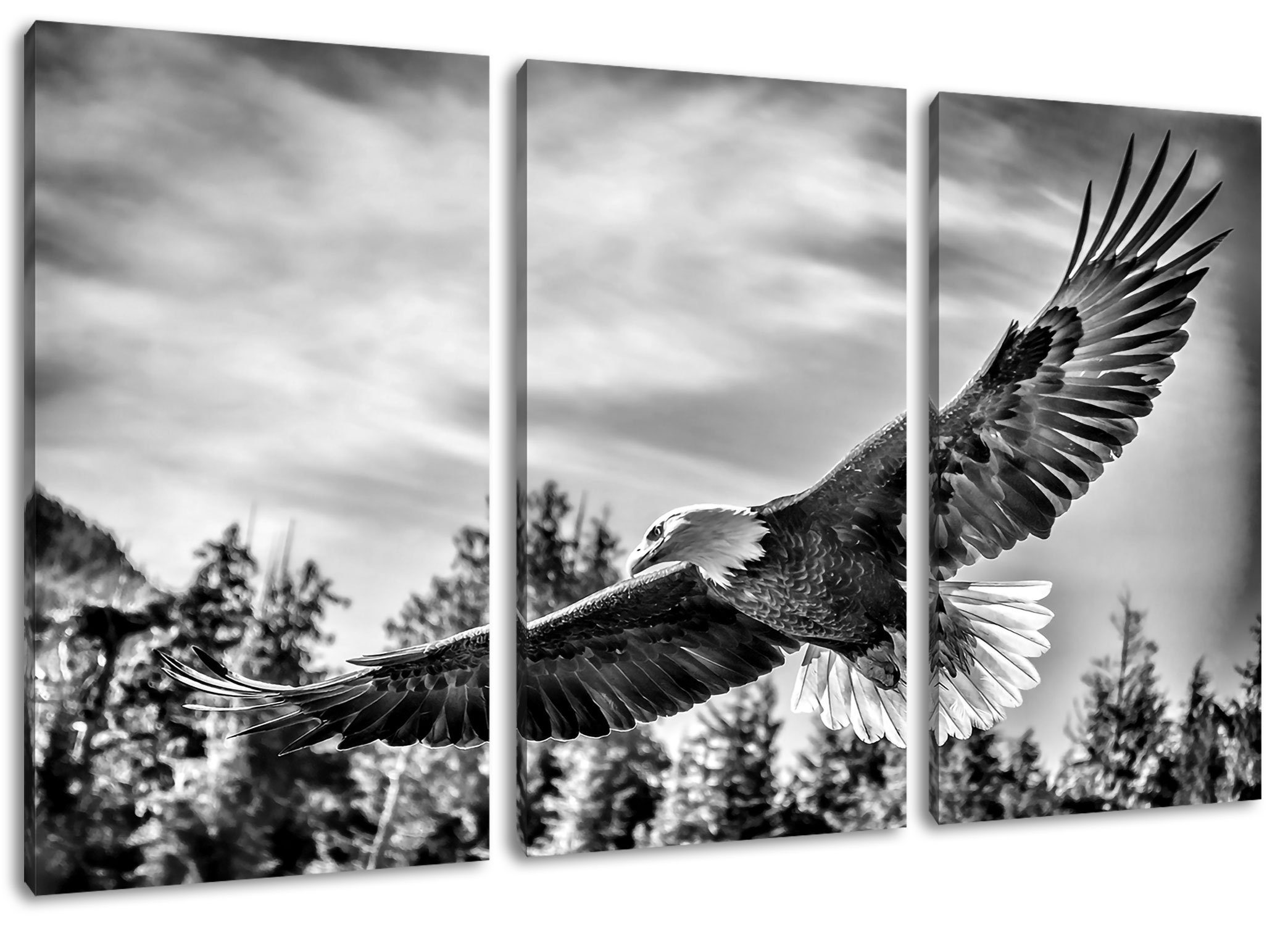 Pixxprint Leinwandbild Adler, Adler 3Teiler (120x80cm) (1 St), Leinwandbild fertig bespannt, inkl. Zackenaufhänger