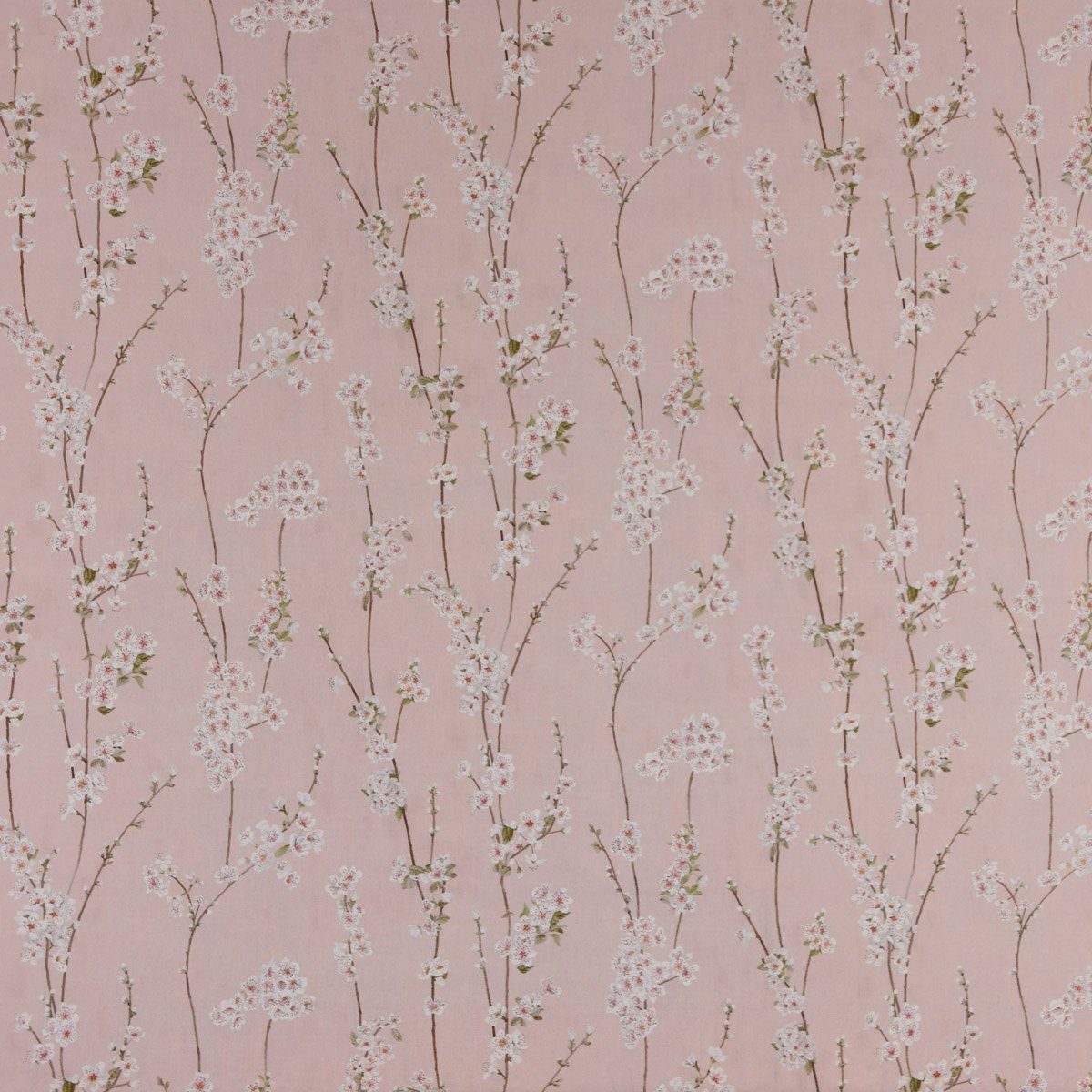 St), (1 LEBEN. LEBEN., Vorhang in SCHÖNER Baumwolle, Mandelblütenzweige 245cm, Almond made Smokband handmade, Germany, rosa blickdicht, SCHÖNER vorgewaschen Vorhang Blossom