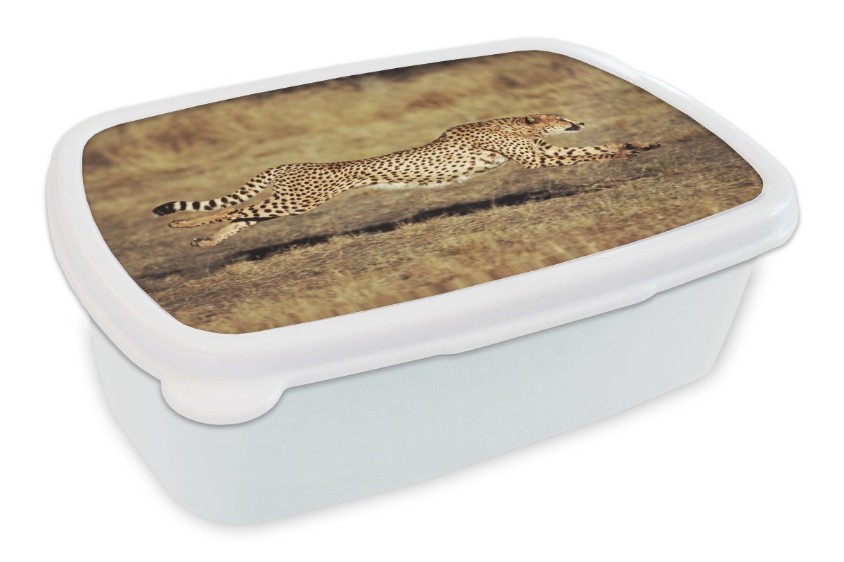 MuchoWow Lunchbox Vorderansicht eines weiblichen Geparden, Kunststoff, (2-tlg), Brotbox für Kinder und Erwachsene, Brotdose, für Jungs und Mädchen weiß