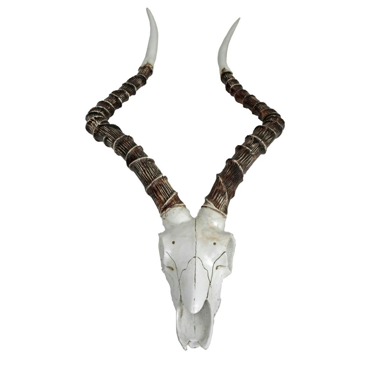Gravidus Dekogeweih Impalakopf Dekoschädel Dekokopf Impala Geweih Wanddekoration