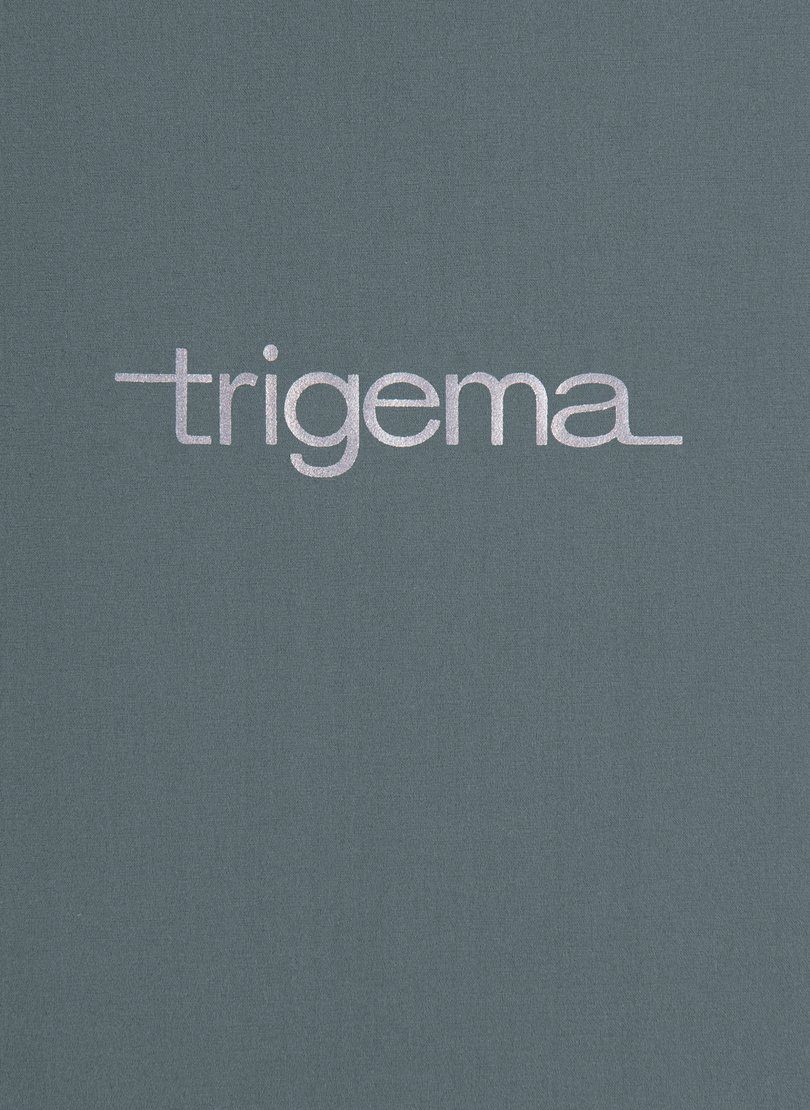 Trigema Sport-Shorts Jerseyhose Netz anthrazit TRIGEMA aus Innenslip mit