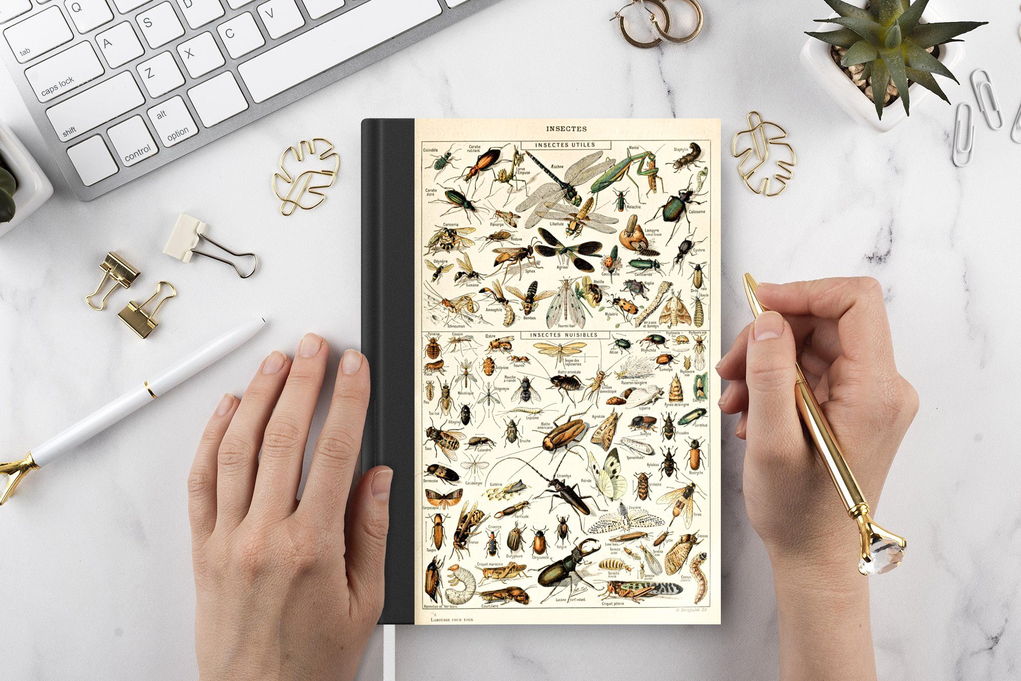 Käfer, Tier - Notizheft, Tagebuch, Journal, - Insekt Merkzettel, Seiten, 98 A5, Haushaltsbuch MuchoWow Notizbuch