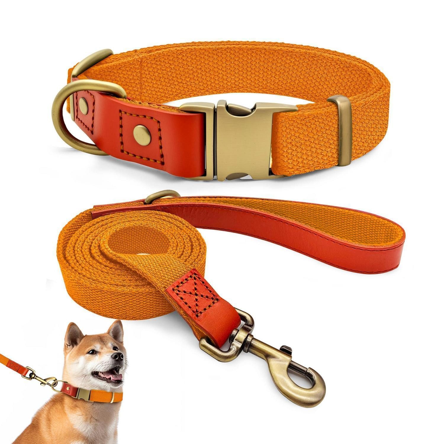 LuxusKollektion Hundeleine Hundehalsband & Leine Set L Orange Nylon in Lederoptik, Textil (1-tlg)