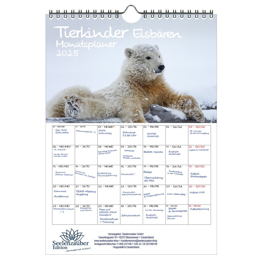 Seelenzauber Wandkalender Tierkinder Eisbären Wand Planer Kalender für