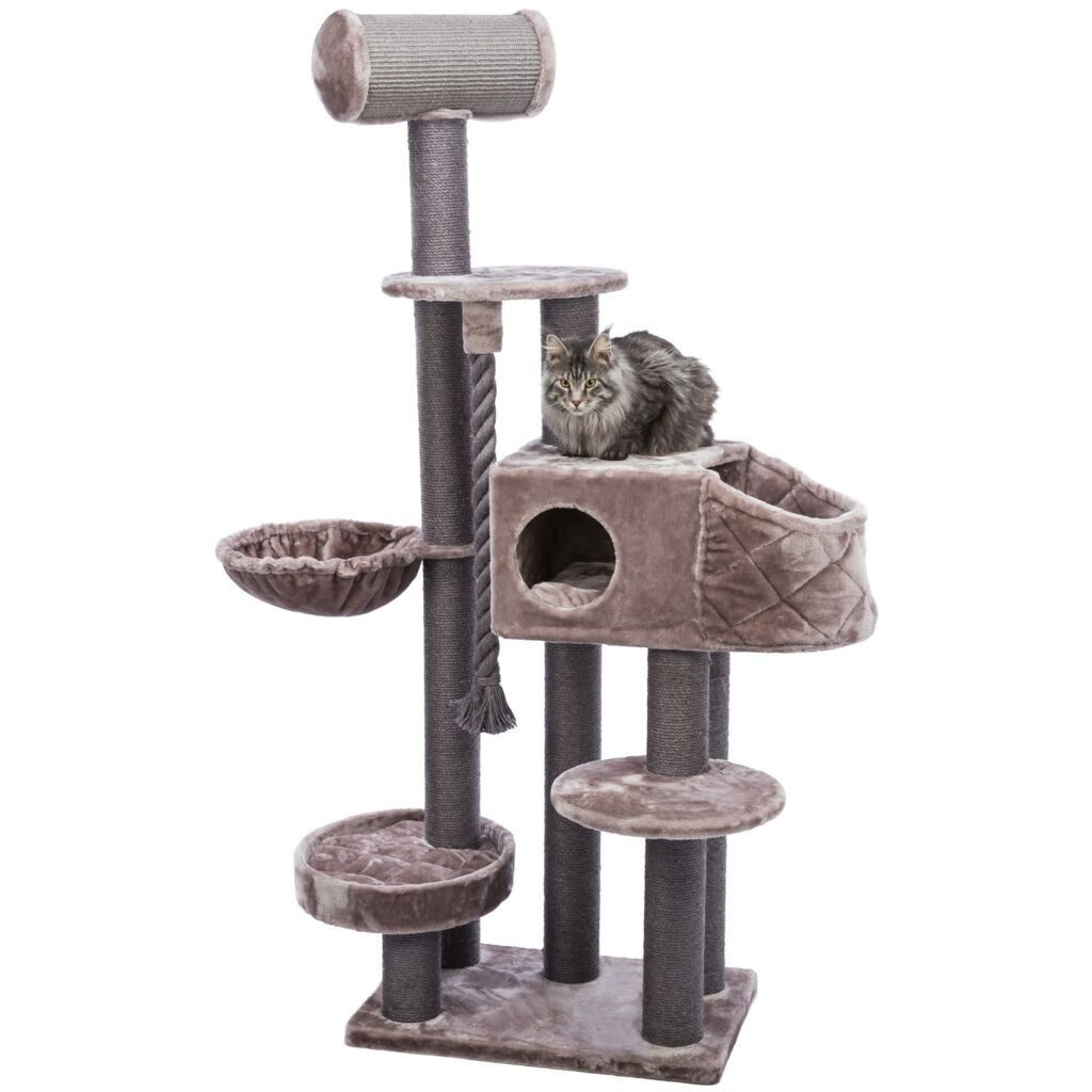 TRIXIE Kratzbaum Kratzbaum XXL Andres - cappuccino - 70 × 190 × 48 cm