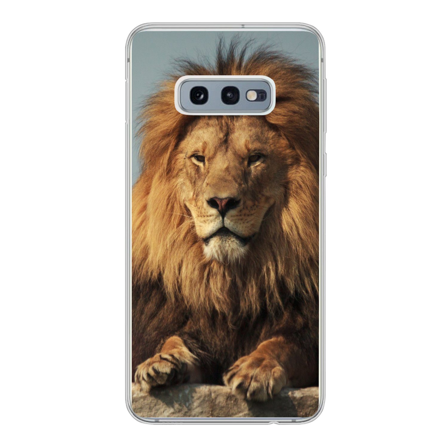 MuchoWow Handyhülle für Samsung Galaxy S10e Löwe - Felsen - Porträt, Phone Case, Silikon, Schutzhülle Dünn