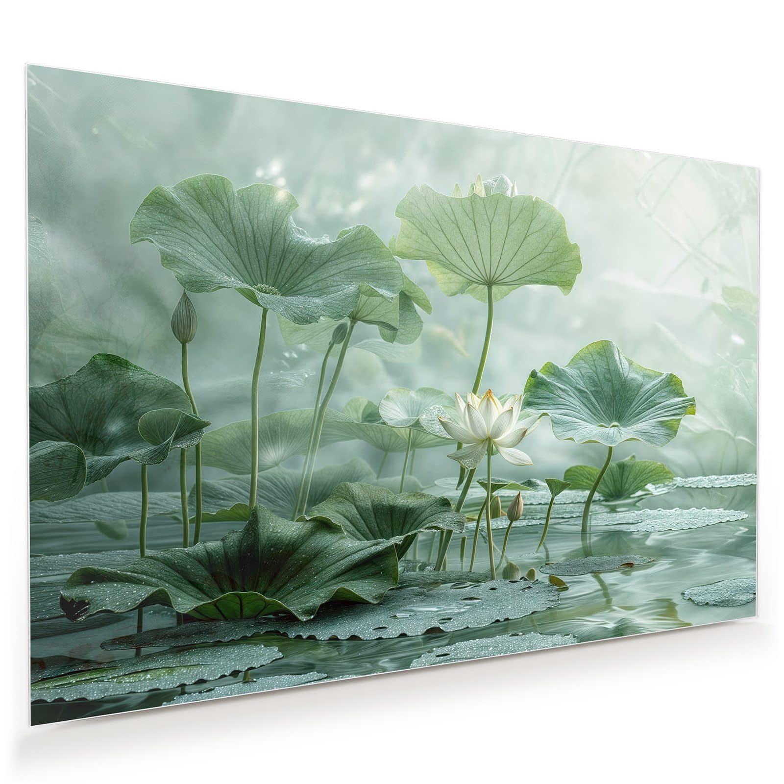 Primedeco Glasbild Wandbild Lotusteich mit Aufhängung, günstig online kaufen