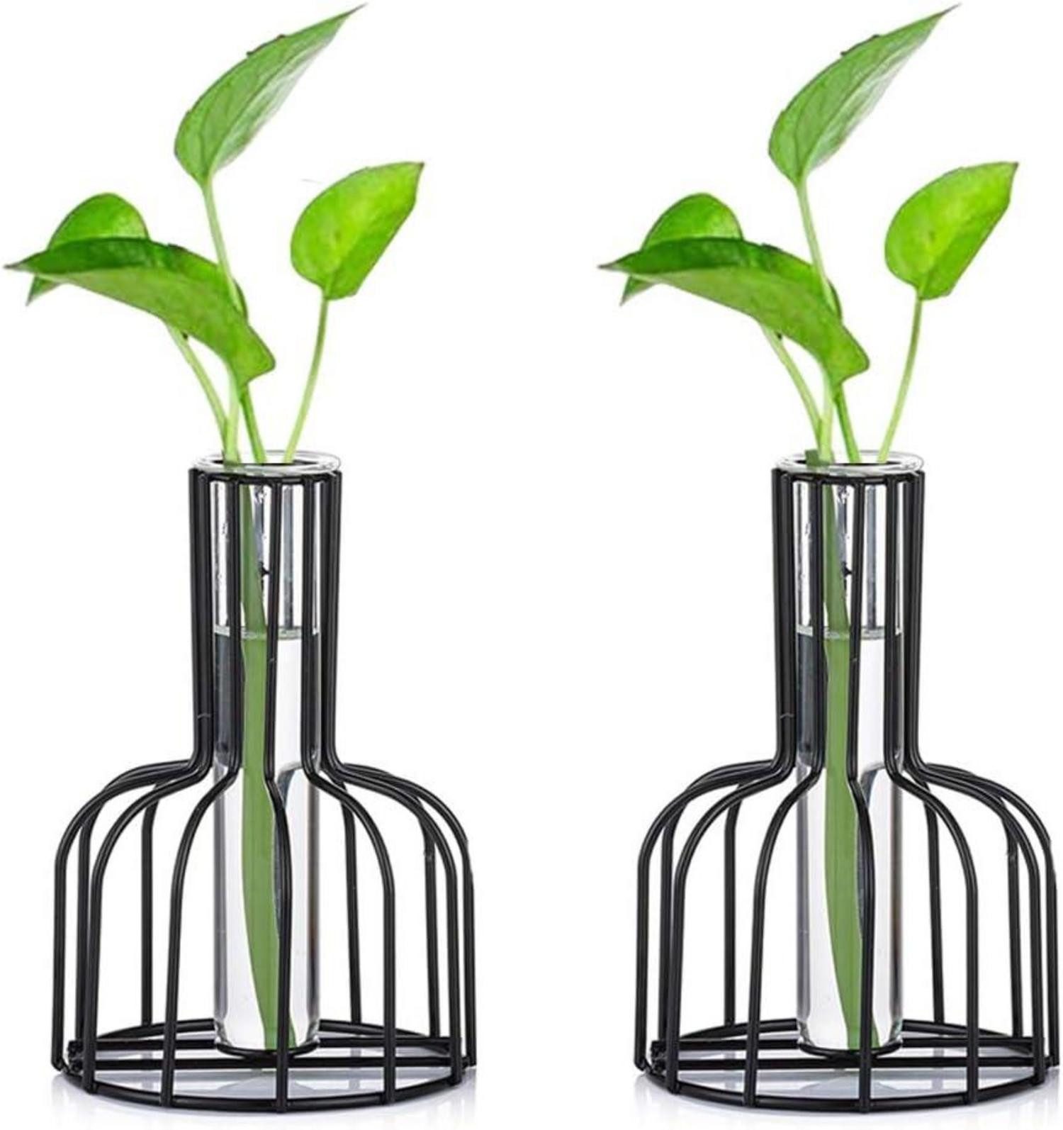 Dekohänger 2er Set Mini Glasvasen Schwarz - Modernes Hydroponik Blumenvase für