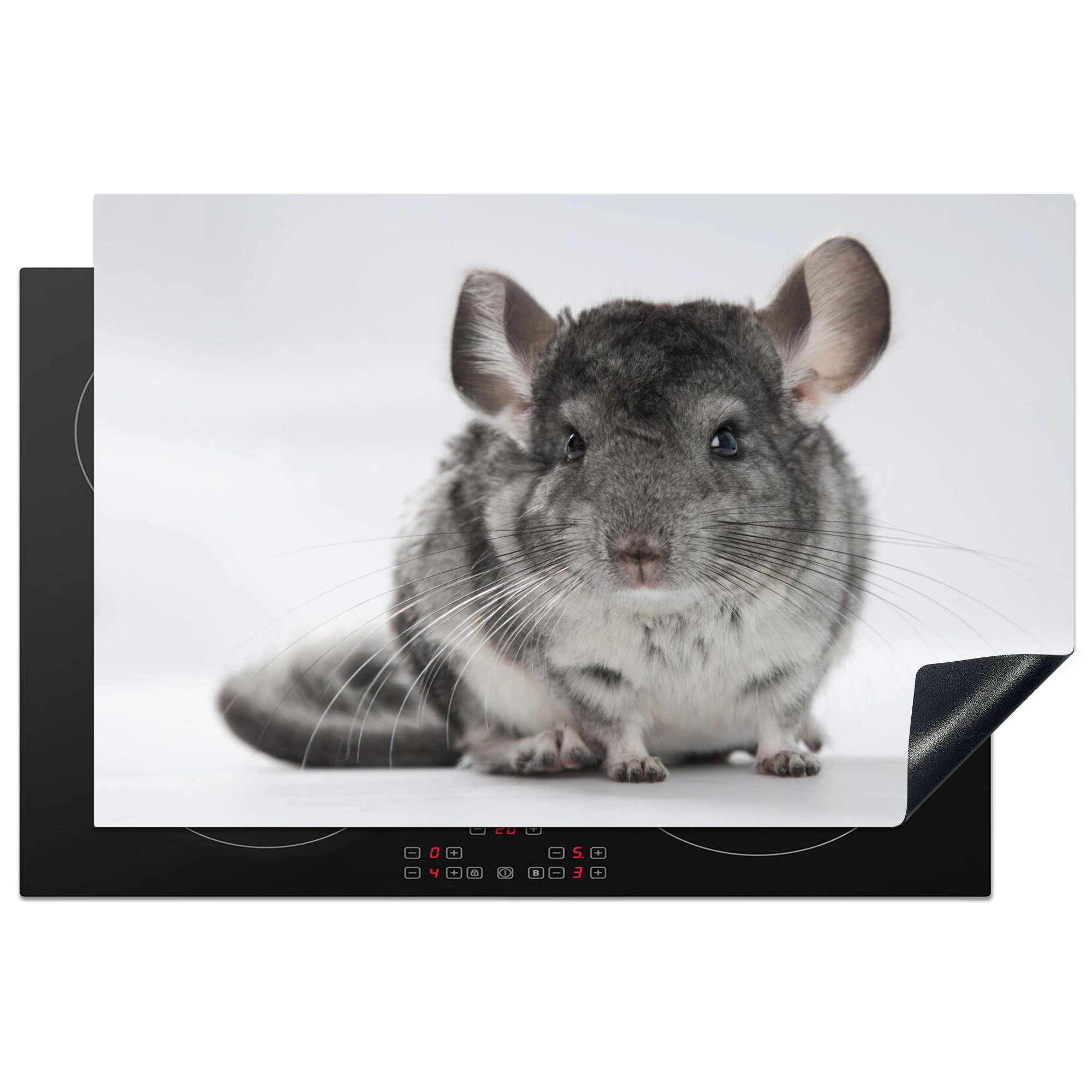 MuchoWow Herdblende-/Abdeckplatte Ein Chinchilla auf weißem Hintergrund, Vinyl, (1 tlg), 81x52 cm, Induktionskochfeld Schutz für die küche, Ceranfeldabdeckung