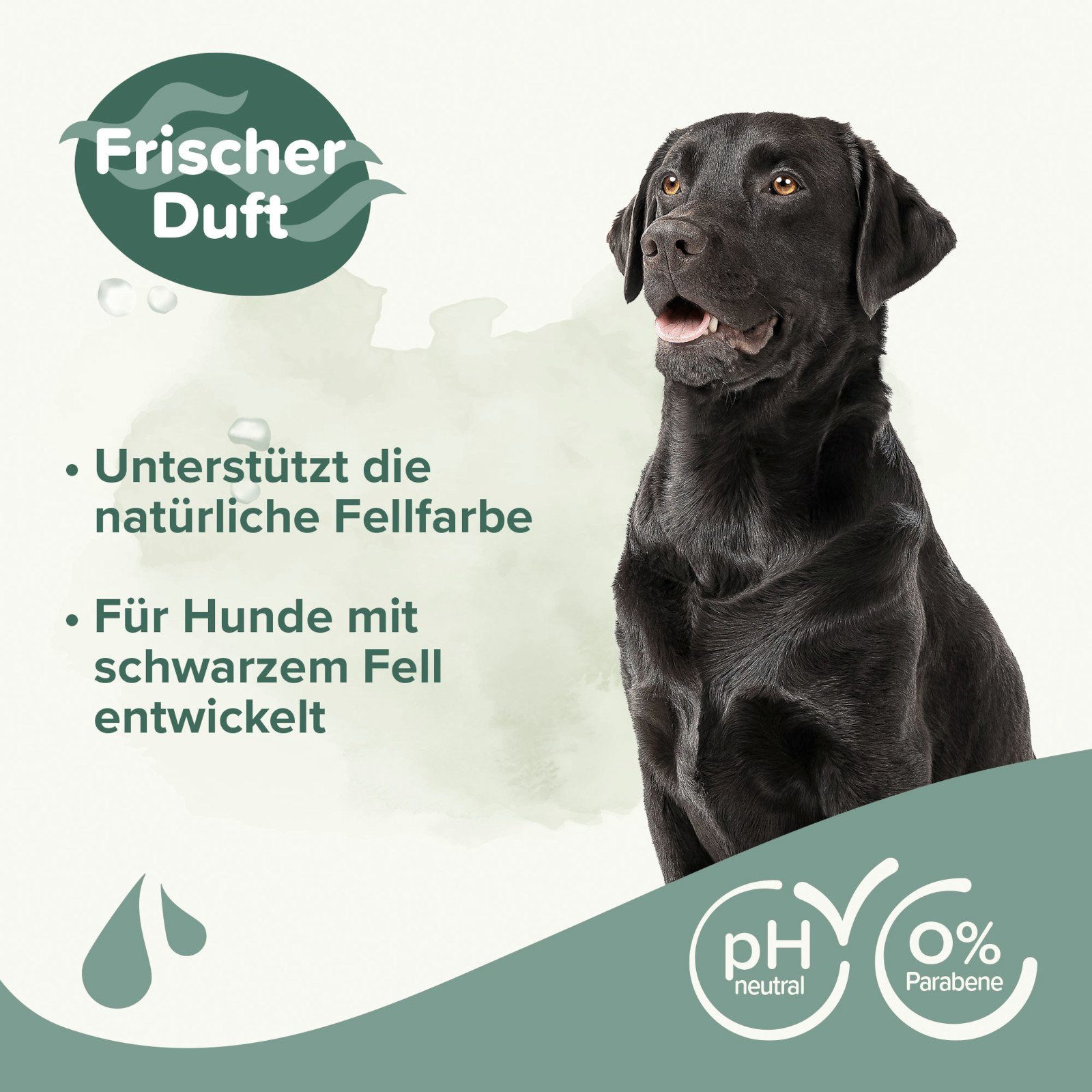 beaphar Tiershampoo Hunde Shampoo für schwarzes Fell - 250 ml, 250 ml