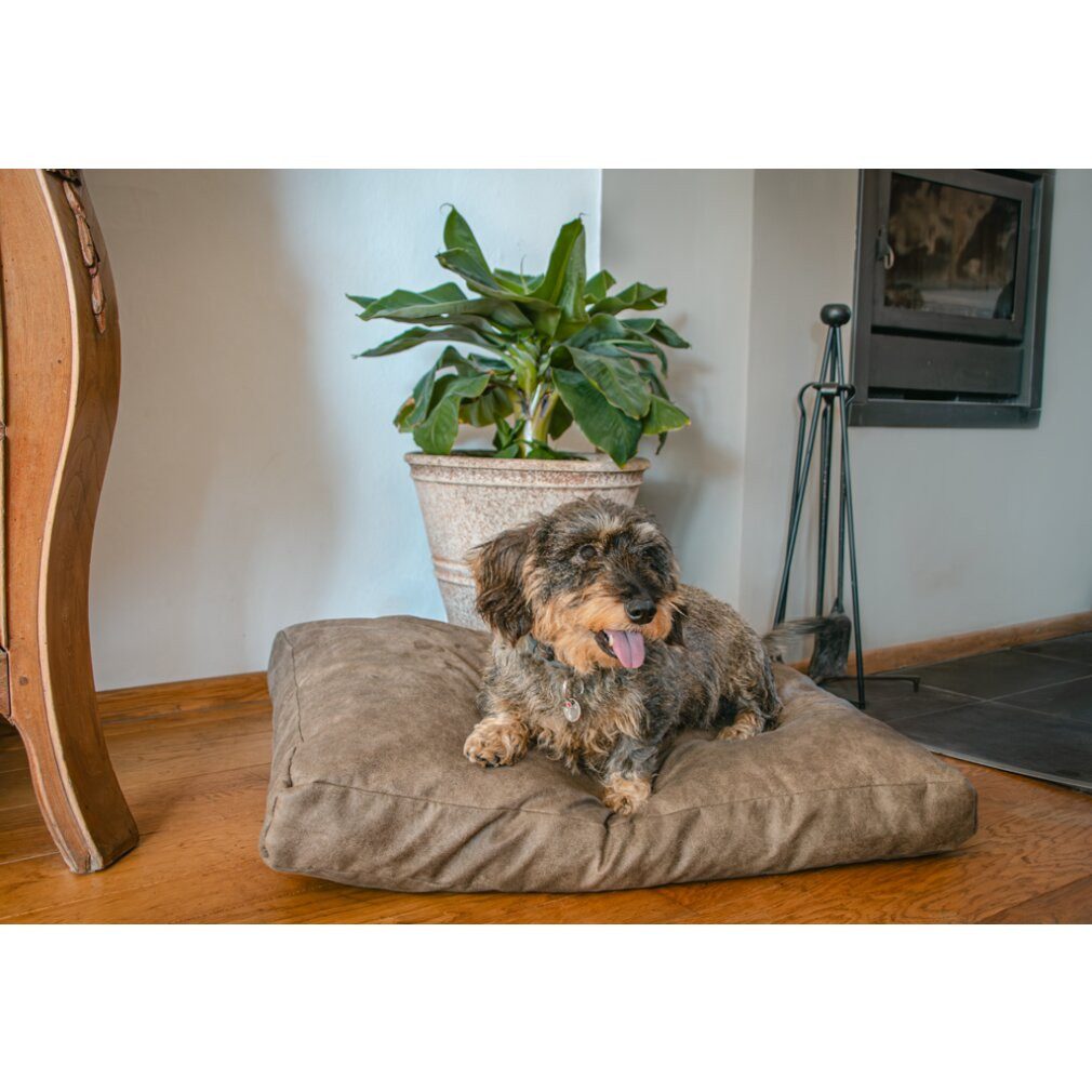 Holland Animal Care Tierkissen Let's Sleep Plush Pillow Hundebett XL Cognac