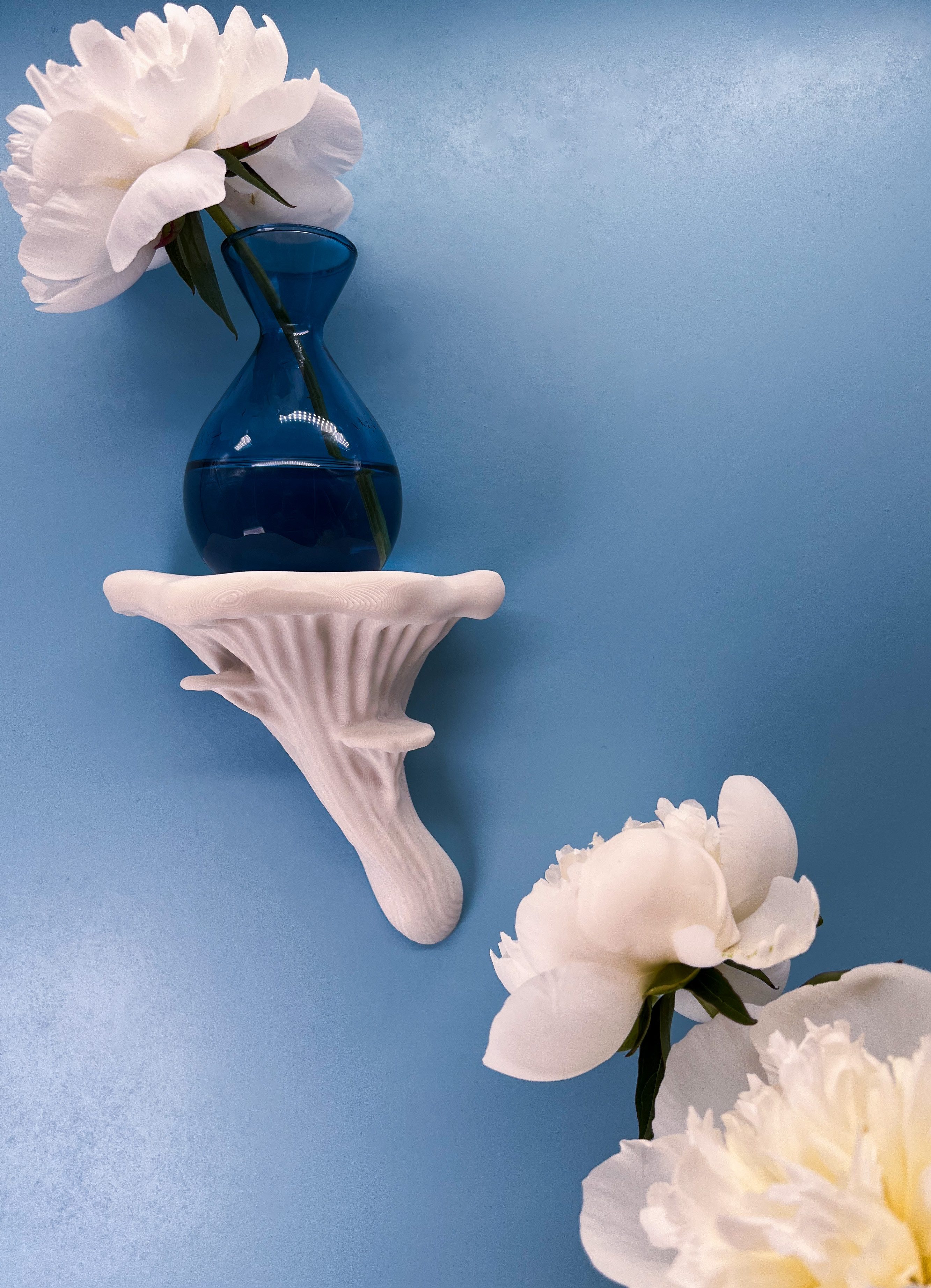 Roomberry Deko-Wandregal Schwebendes Austernpilz Wandregal, Deko Wandregal Pilz, M/L/XL, Hergestellt in Deutschland in unserer eigenen Manufaktur