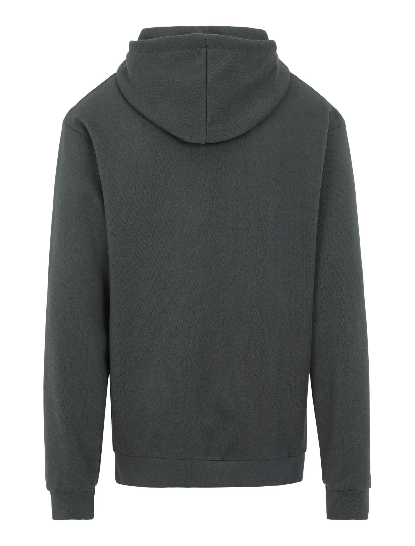 iriedaily Hoodie Mini Flag 2 Zip Hood - Herren Zip-Jacke - Indoor-Jacke