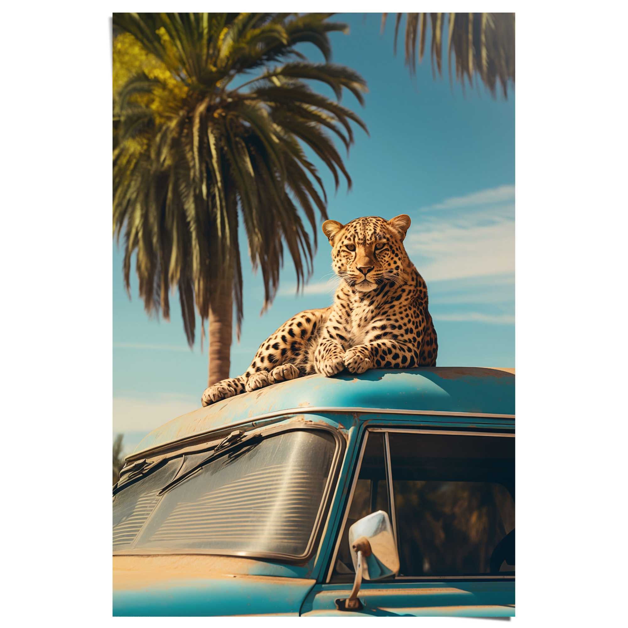 Reinders! Poster Oldtimer Safari