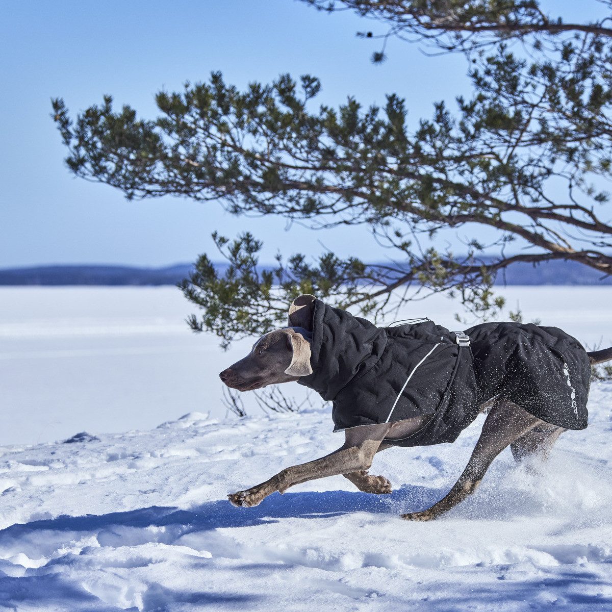 HURTTA Hundemantel Extreme warmer III ECO (Wärmejacke) raven (schwarz)
