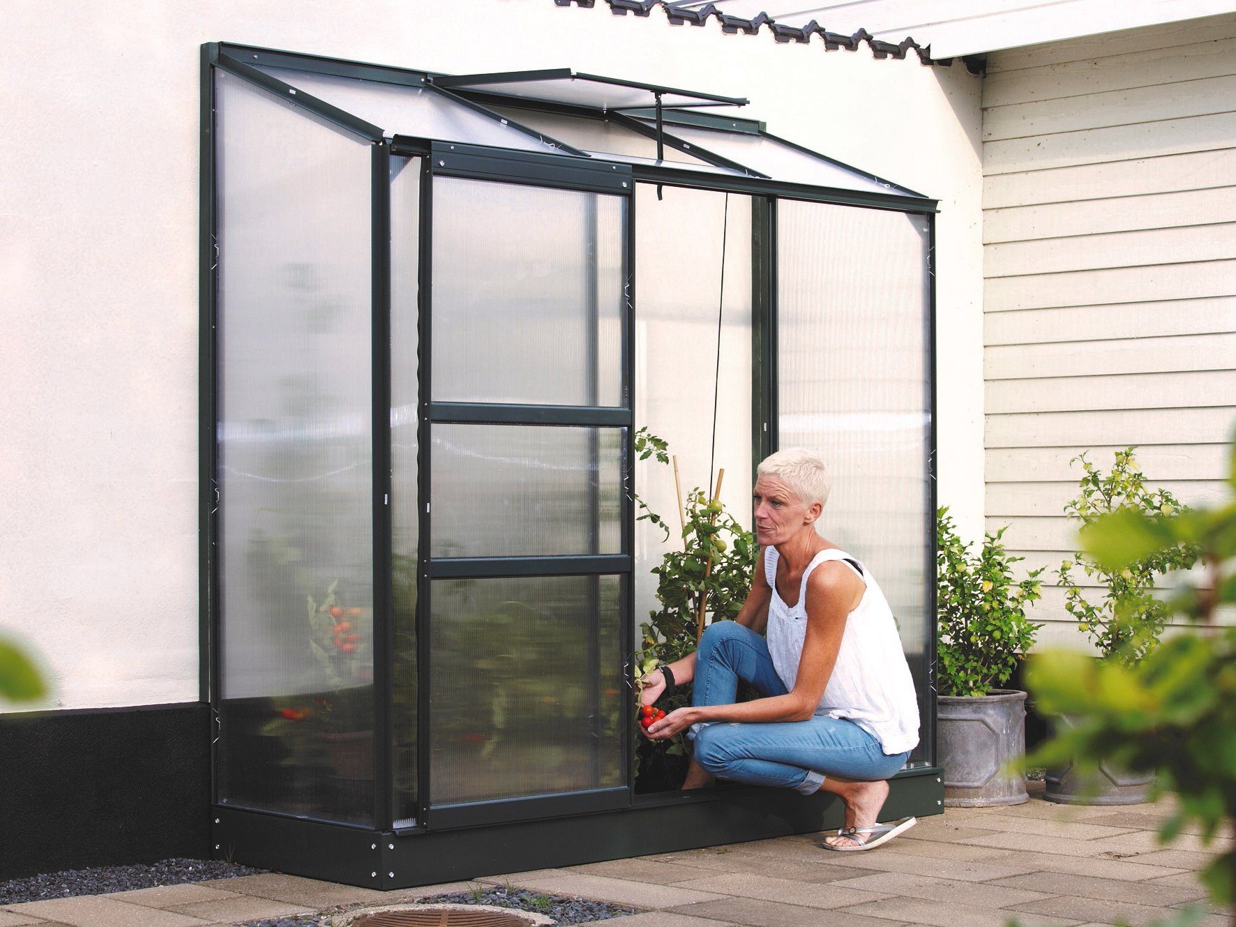 Gewächshäuser im Vergleich: Fünf Modelle für Ihren Garten