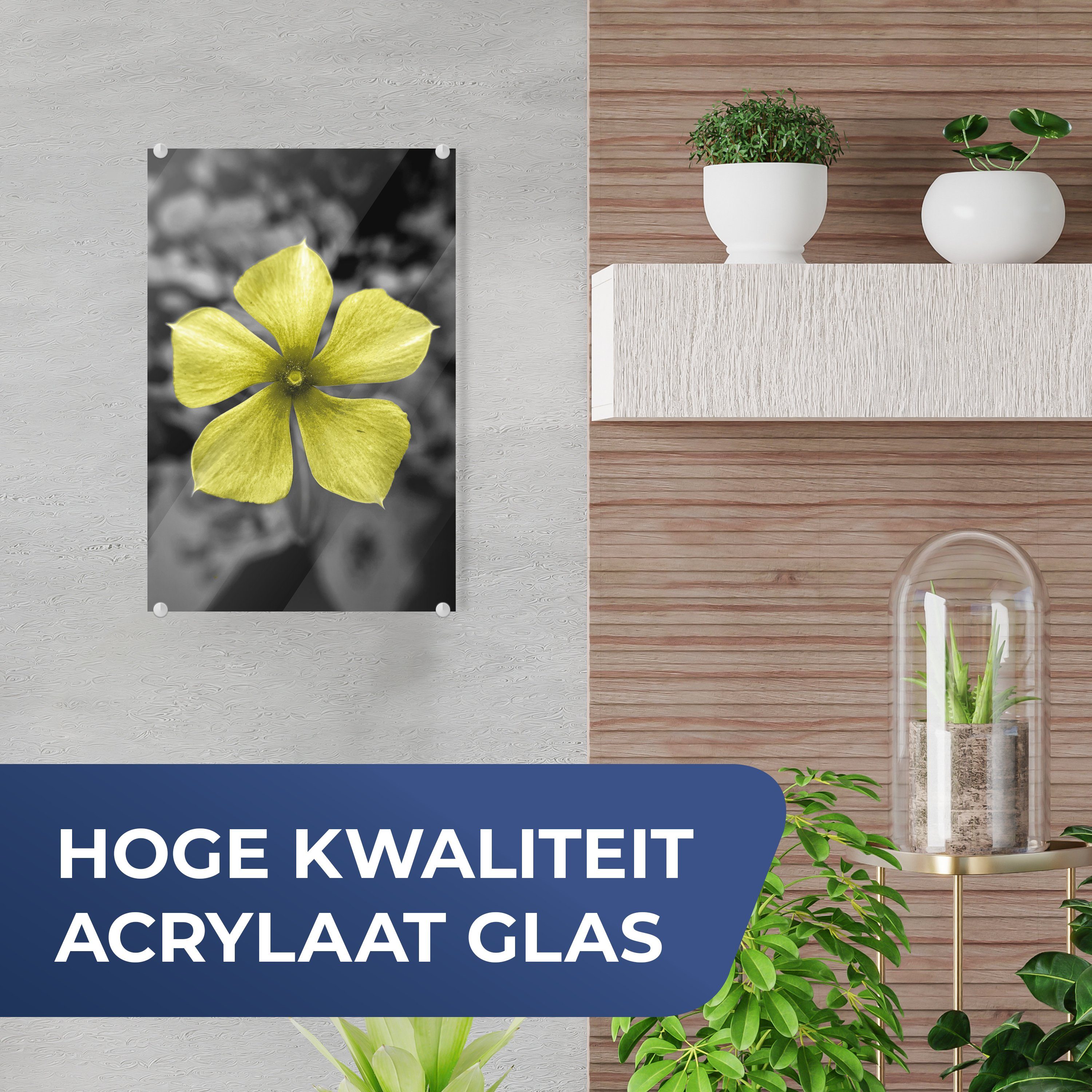 MuchoWow Acrylglasbild Blumen - Glas Wandbild auf - (1 - Wanddekoration Gelb Foto Bilder St), auf Weiß, - - Glasbilder Glas Schwarz 