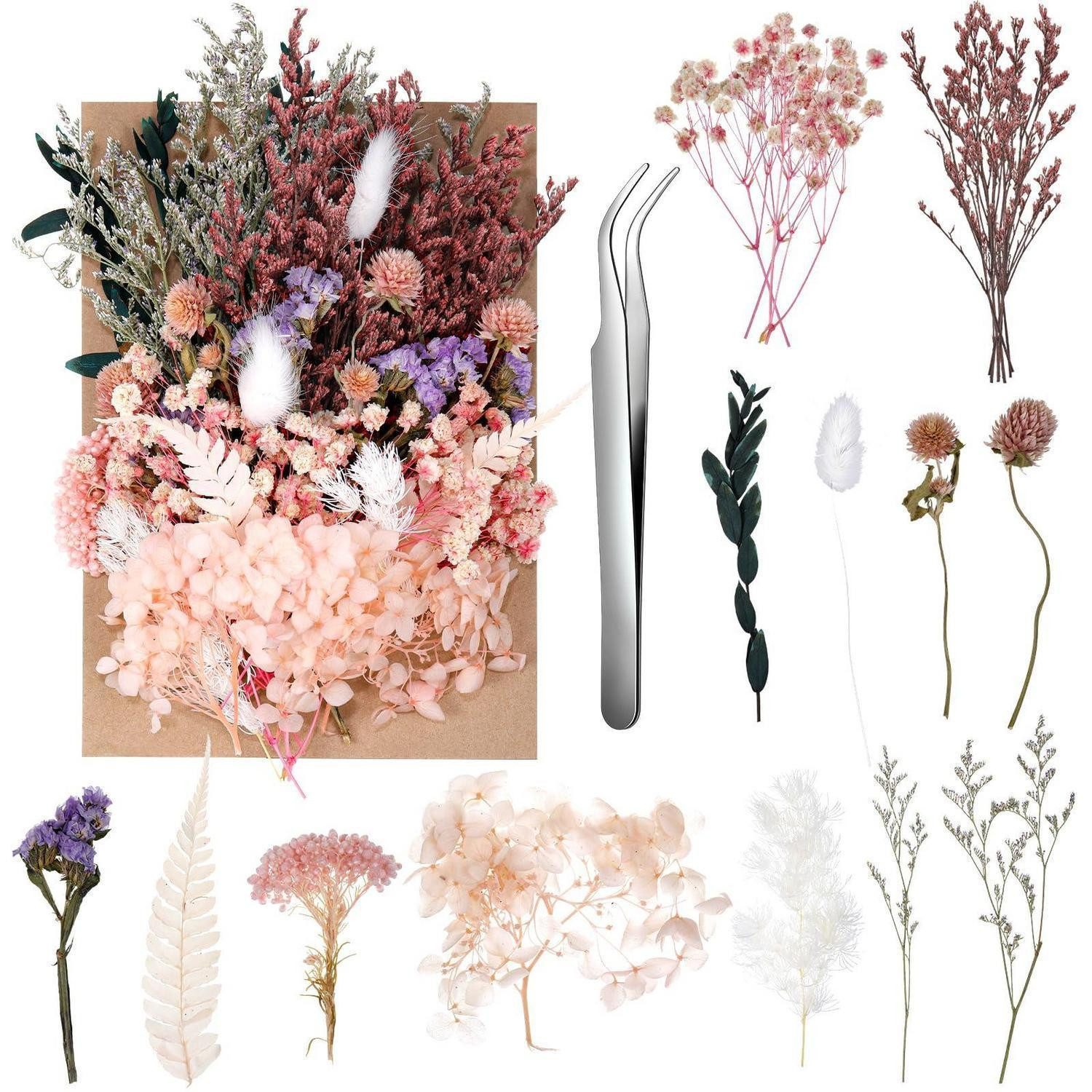 Trockenblume Trockenblumen Set DIY Deko 100tlg., LuxusKollektion, Höhe 1 cm