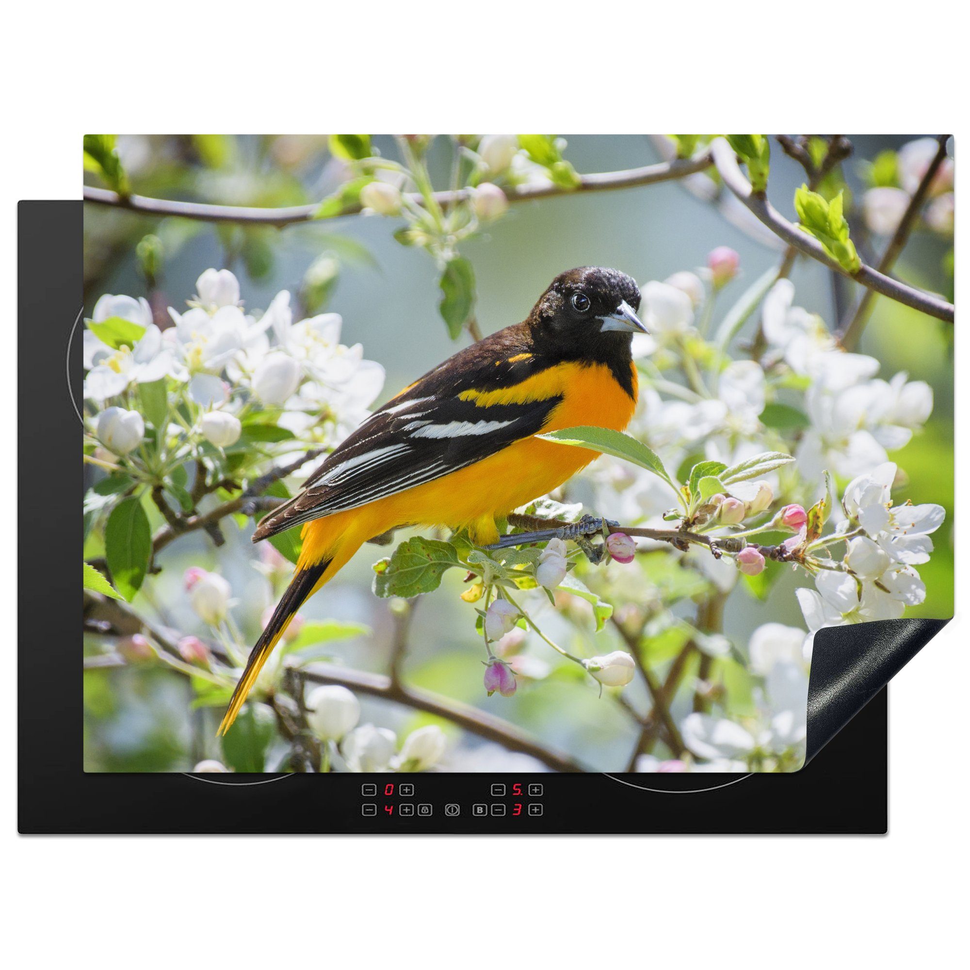 MuchoWow Herdblende-/Abdeckplatte Vogel - Blumen - Farben, Vinyl, (1 tlg), 71x52 cm, Induktionskochfeld Schutz für die küche, Ceranfeldabdeckung