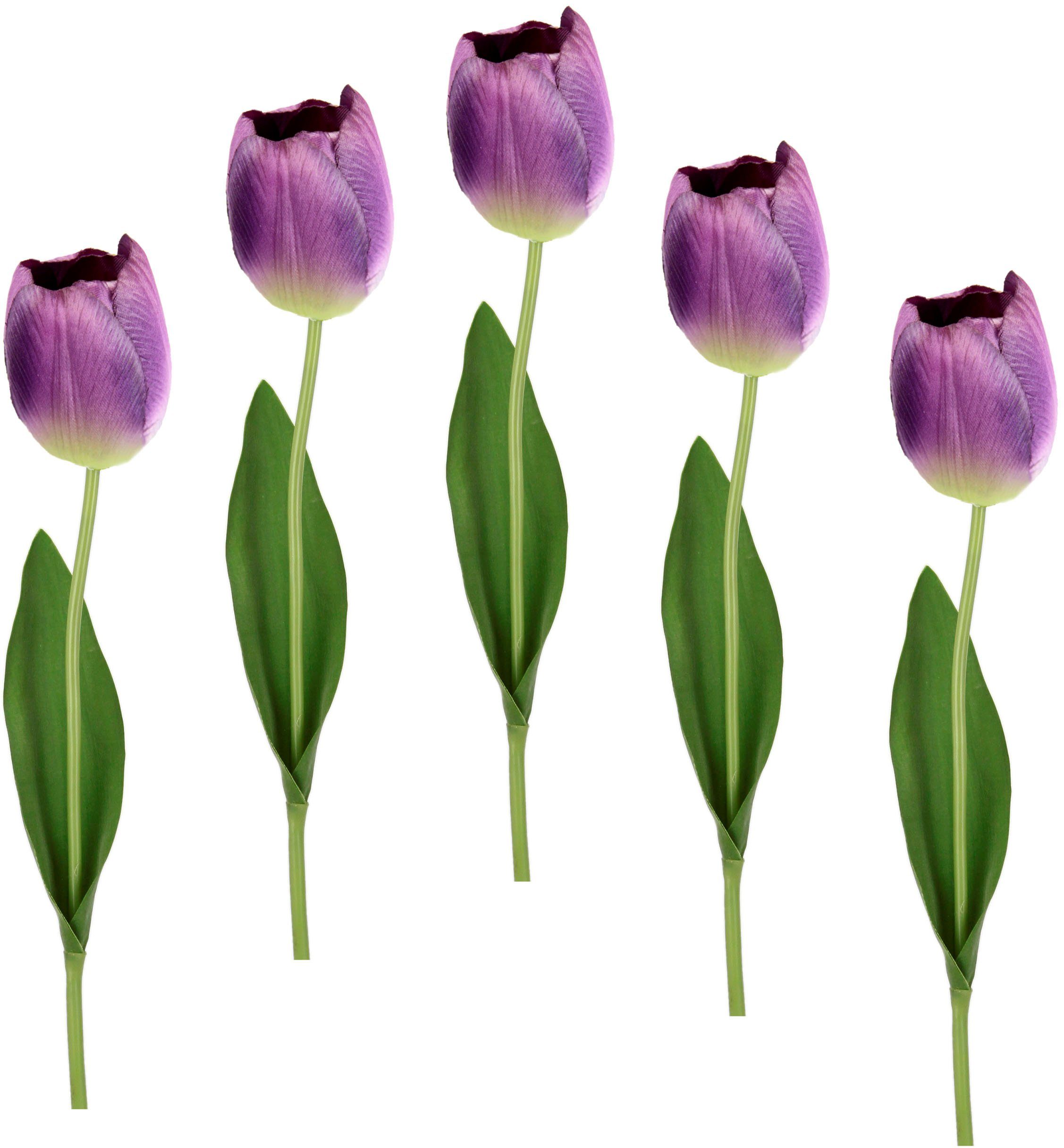 cm, Tulpen, violett Set Stielblume Real I.GE.A., 67 Tulpenknospen, Kunstblumen, künstliche 5er Touch Kunstblume Höhe