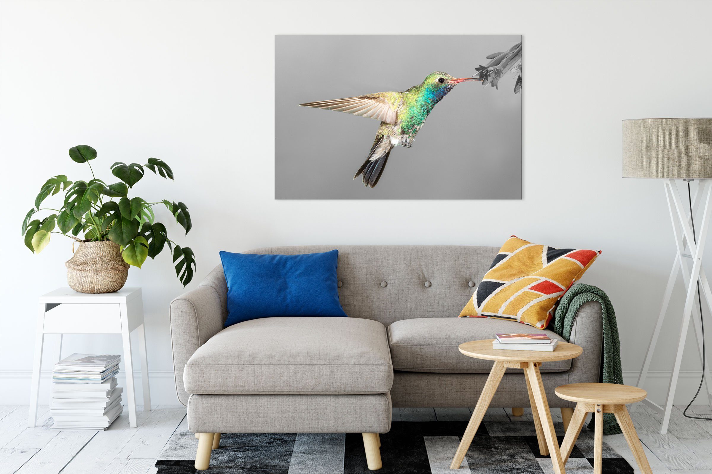 Pixxprint Leinwandbild wunderschöner Kolibri, Kolibri bespannt, St), Zackenaufhänger Leinwandbild inkl. (1 fertig wunderschöner